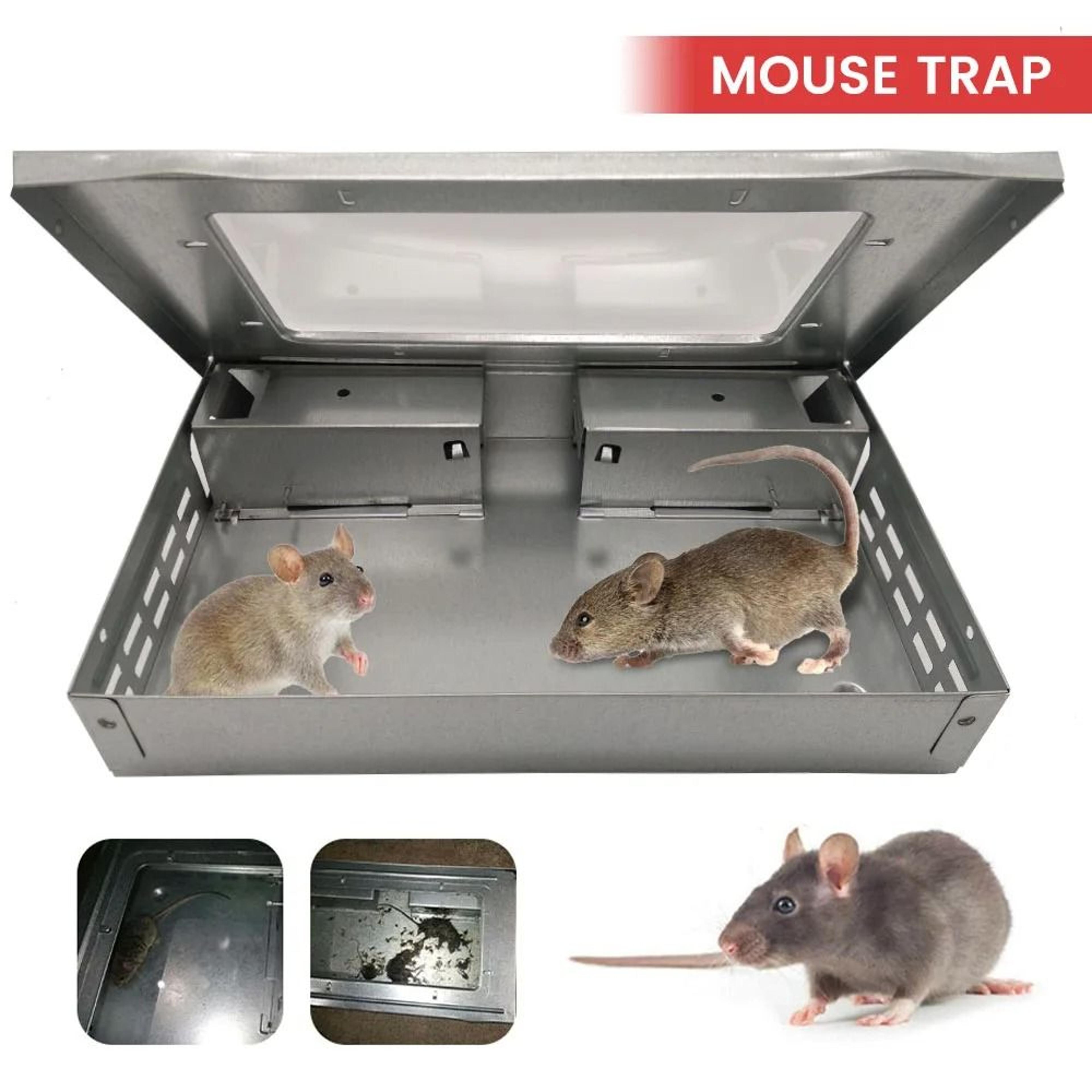 reusable mouse catcher trap for indoor rodent control