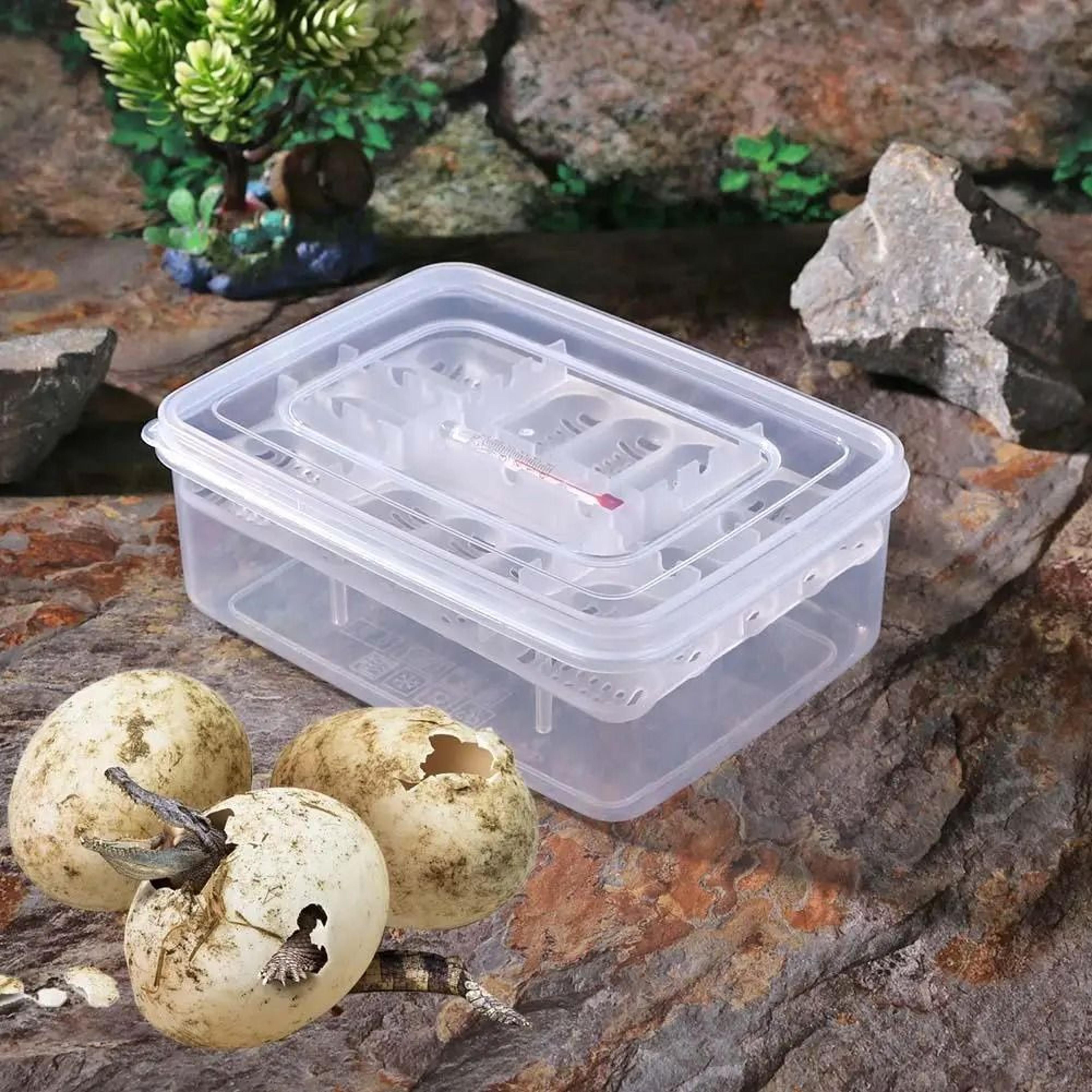 16 grid reptile egg incubator tray for lizard and snake breeding