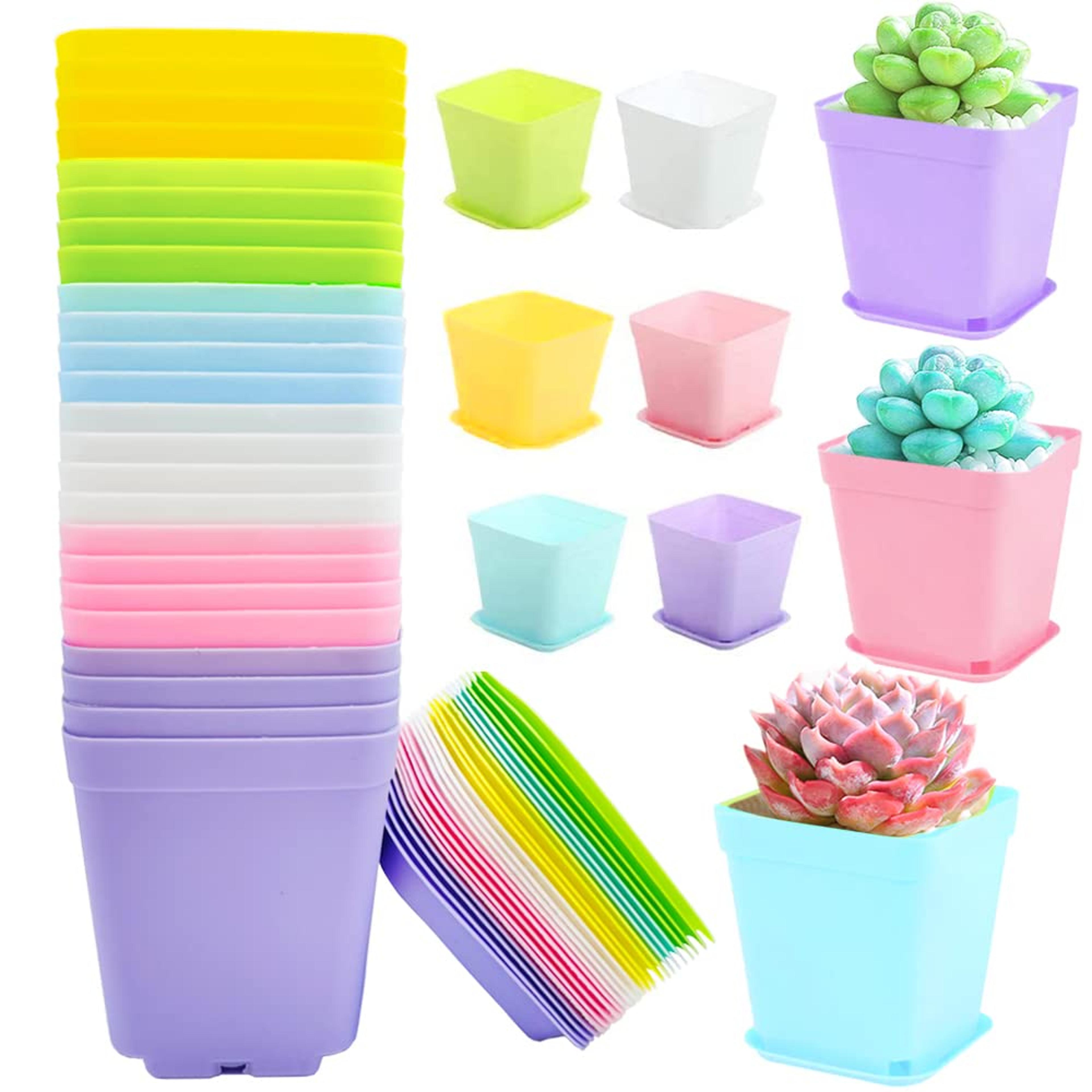 20 piece mini square succulent pots with trays for home garden decor