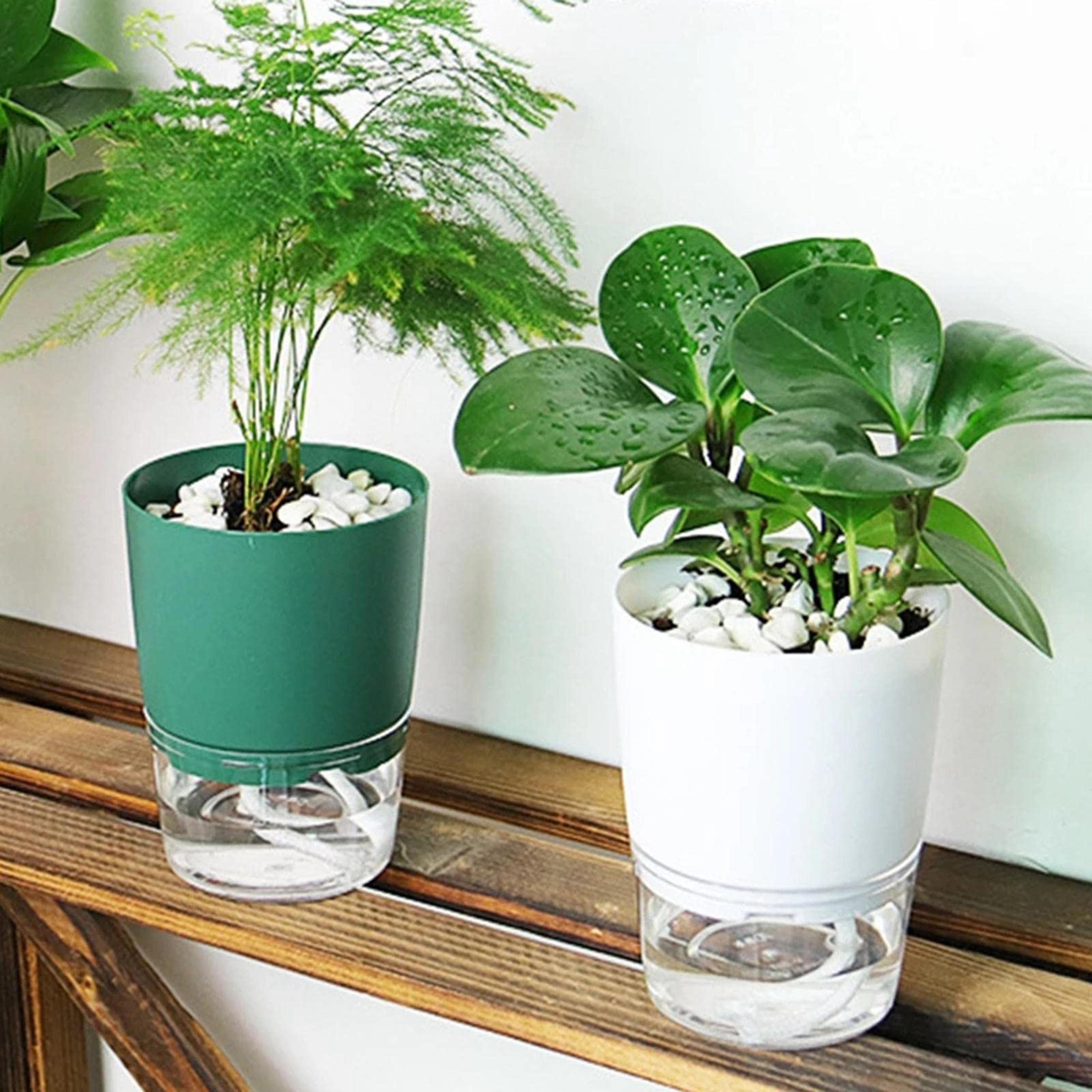 self watering plant pot for succulents herbs and home decor