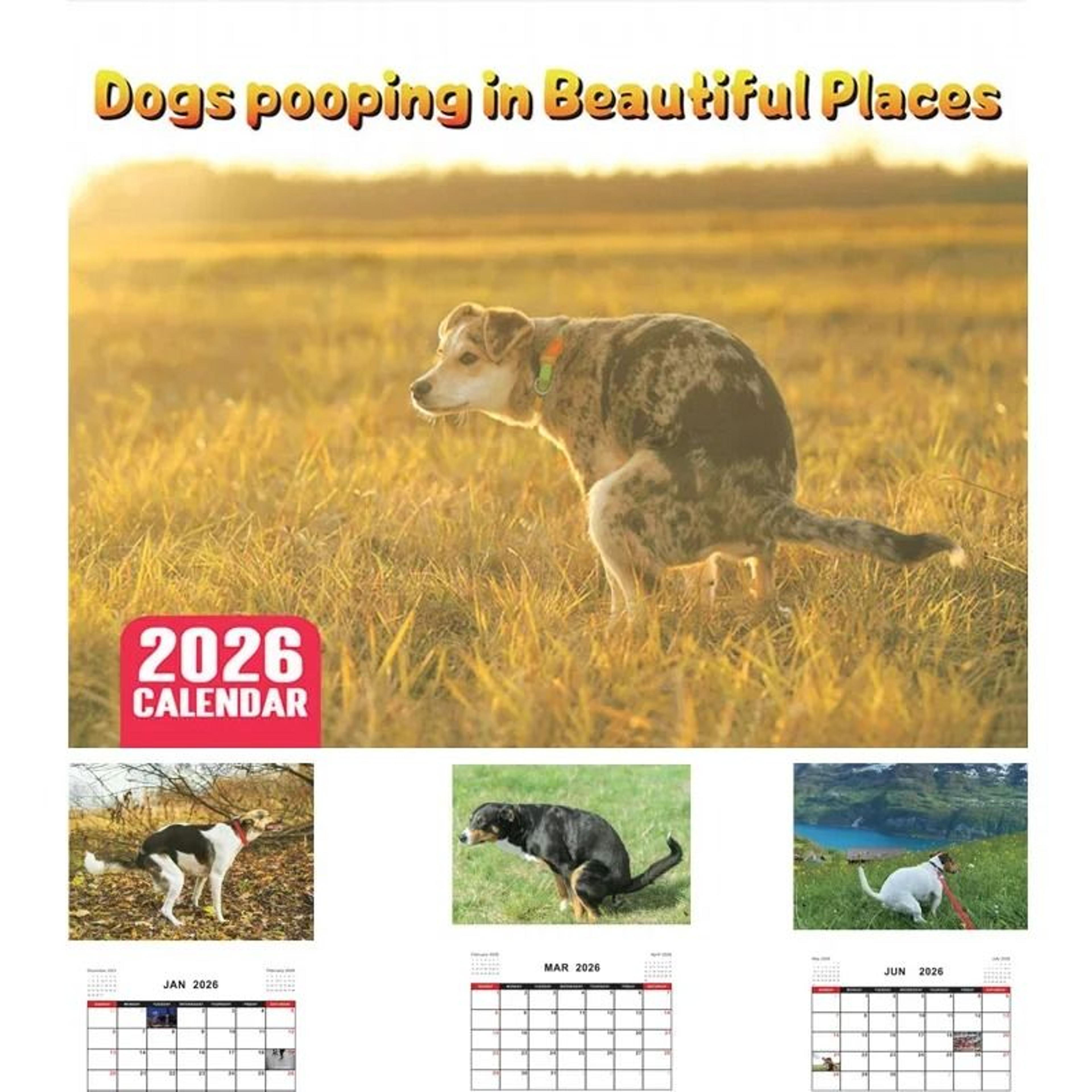 2026 funny pooping dog wall calendar and monthly planner