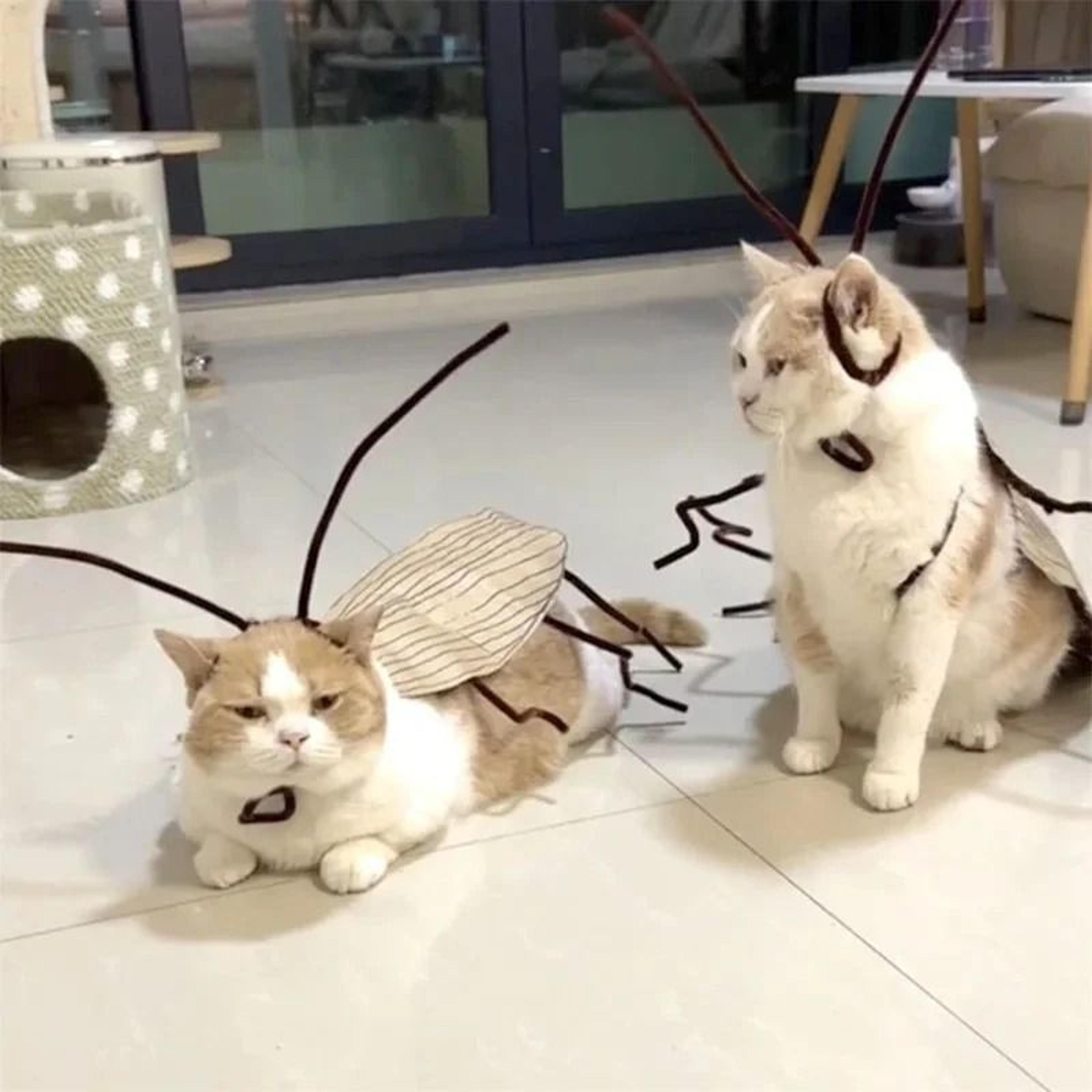 1pack diy cockroach cat costume kit for halloween pet roleplay