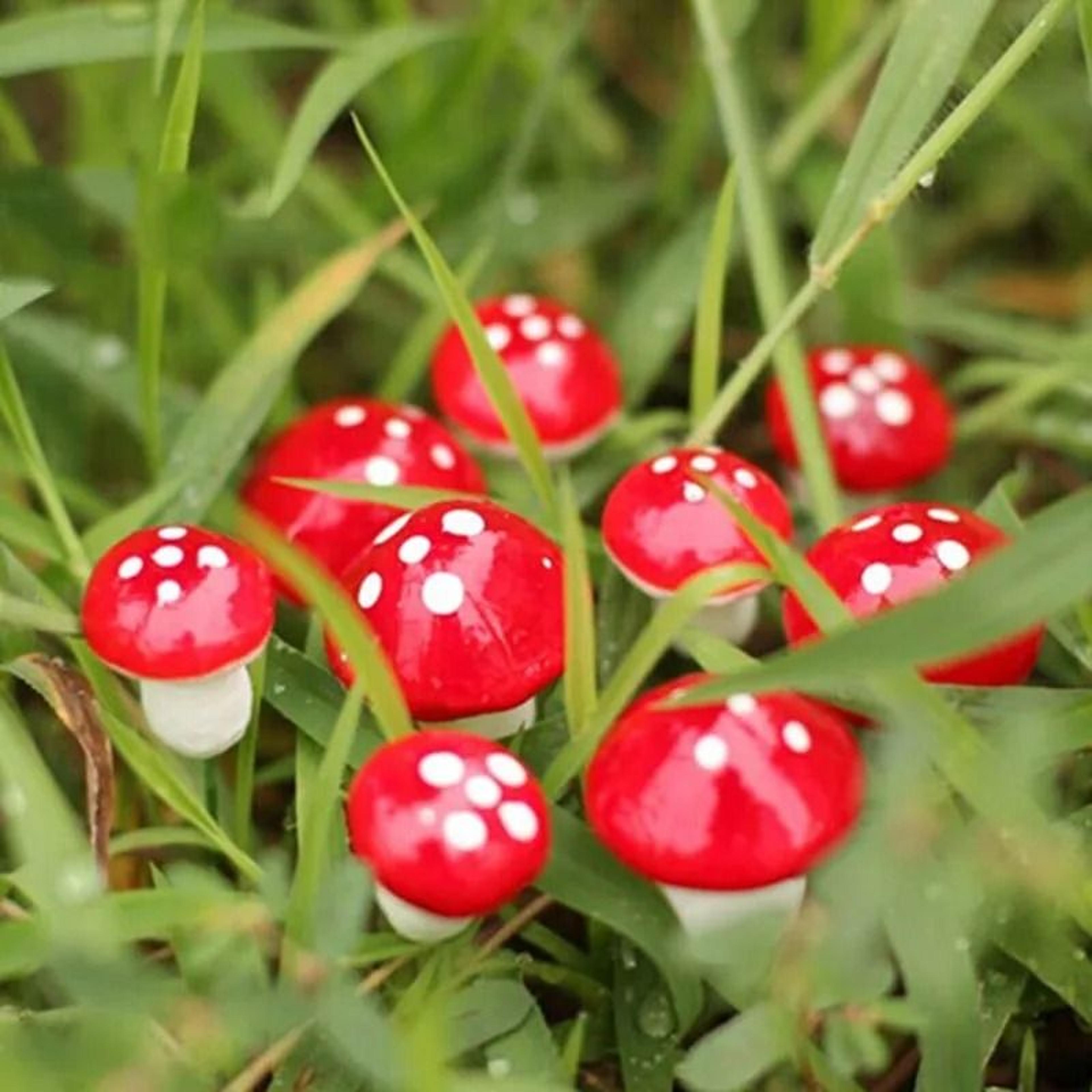 mini red mushroom fairy garden ornaments for bonsai pots and diy landscapes