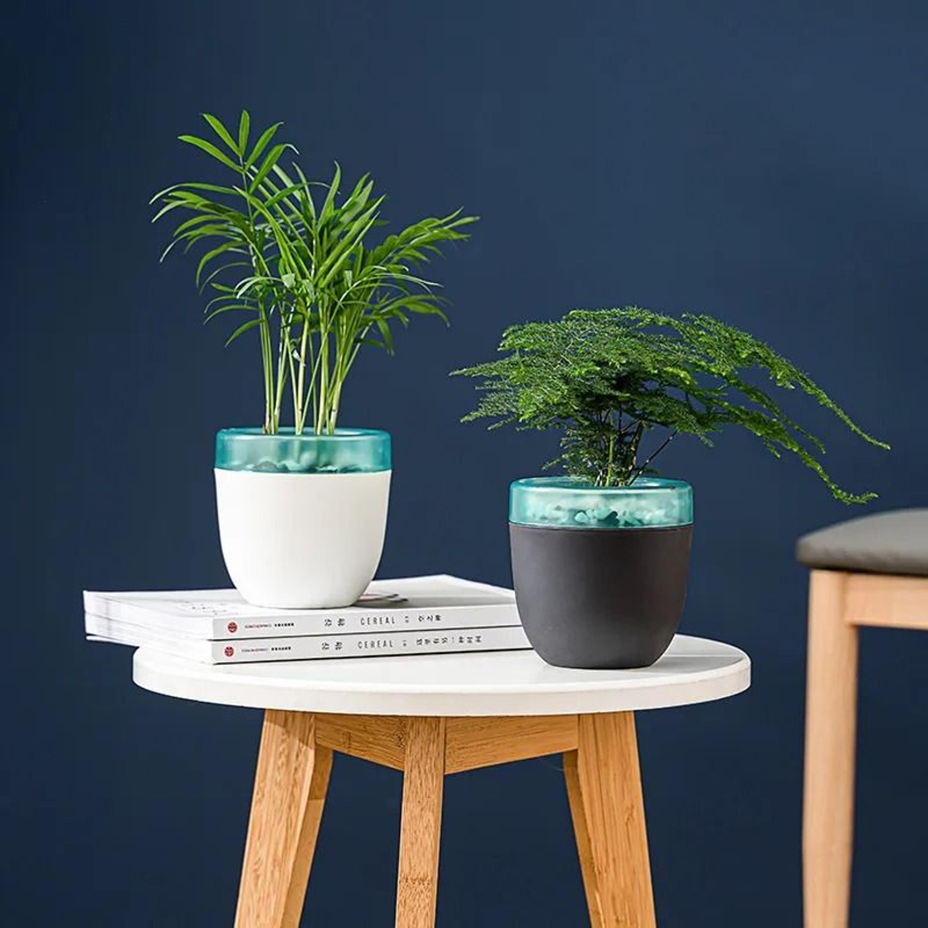 automatic self watering planter with water reservoir