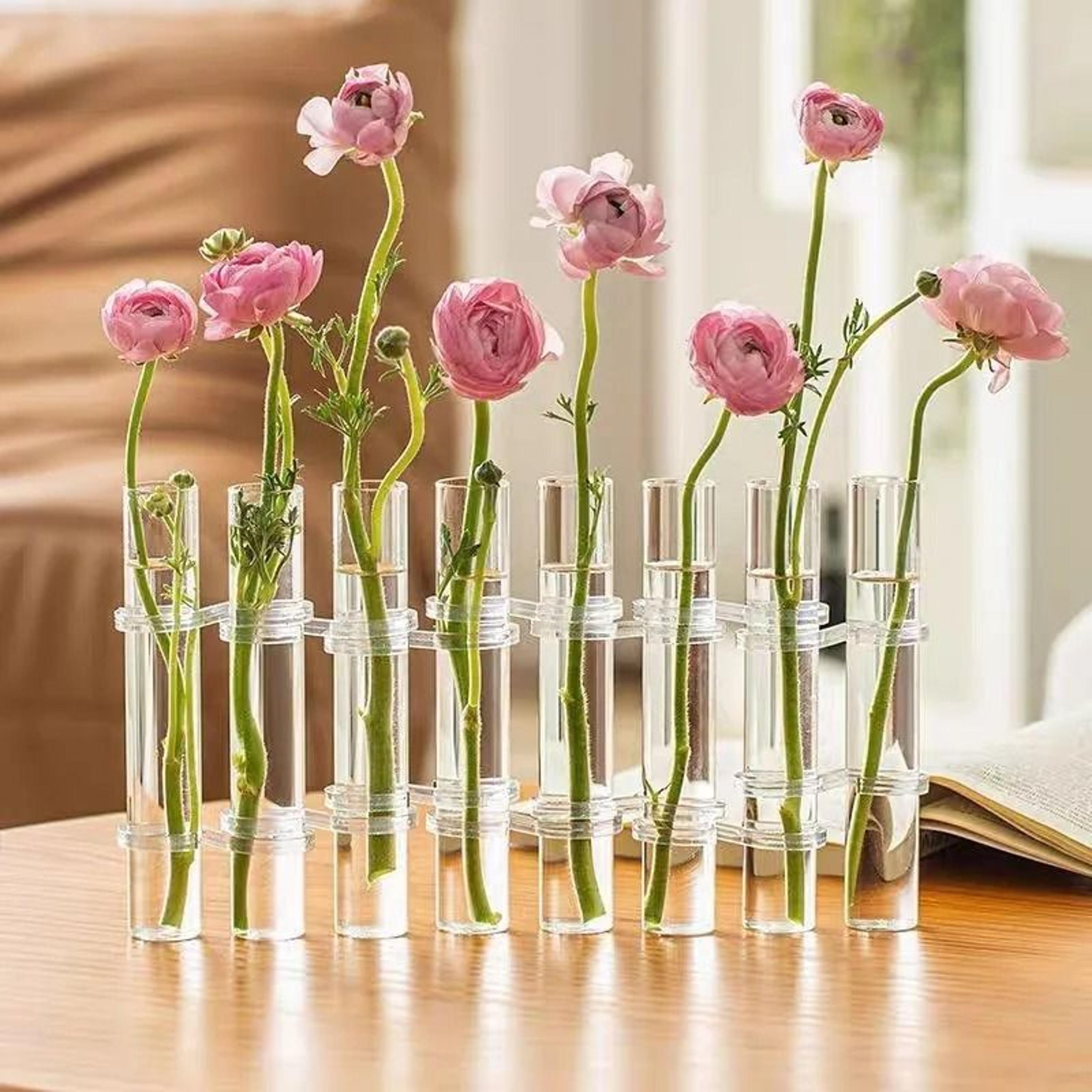stackable glass test tube vase and plant propagation holder