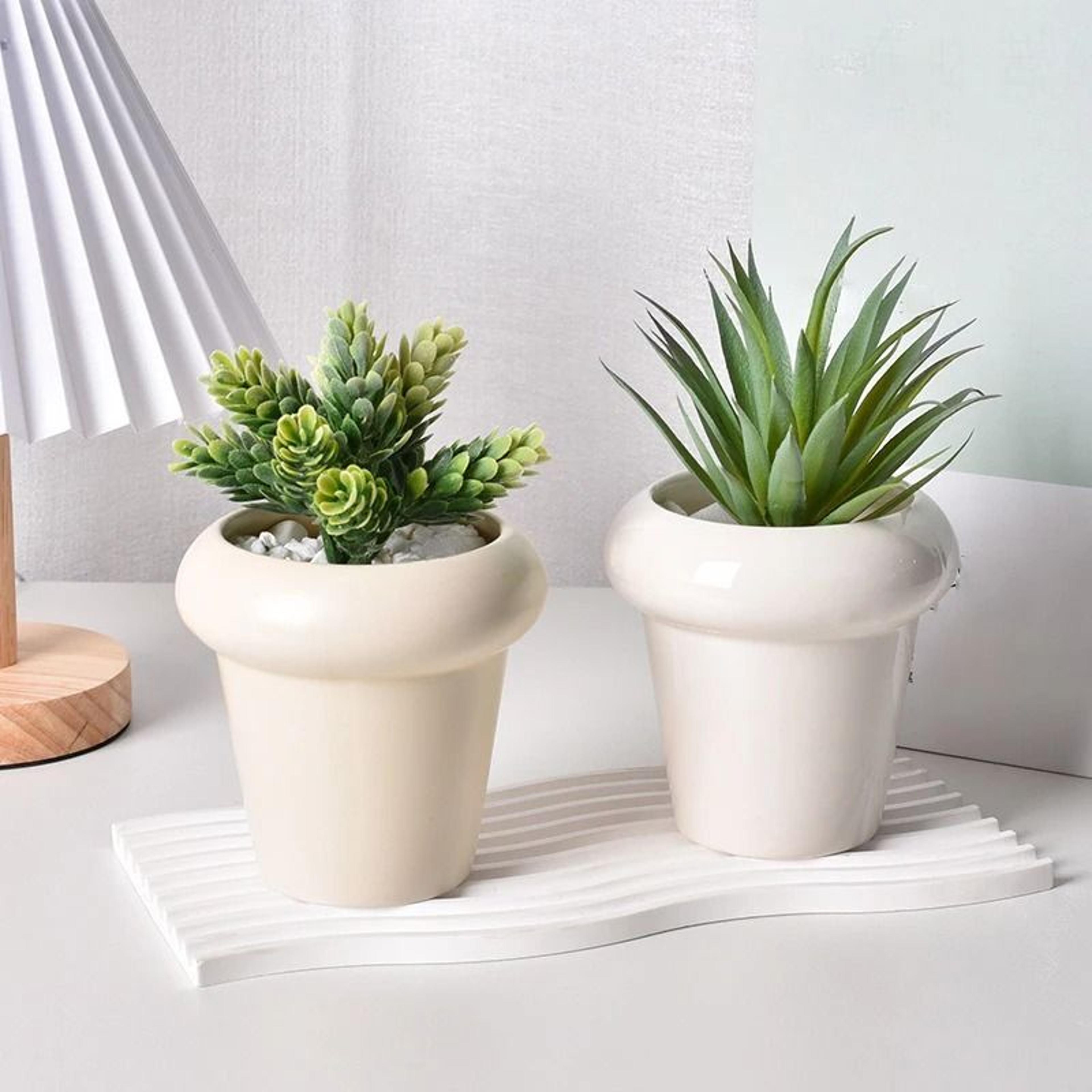 elegant ceramic succulent and bonsai planter