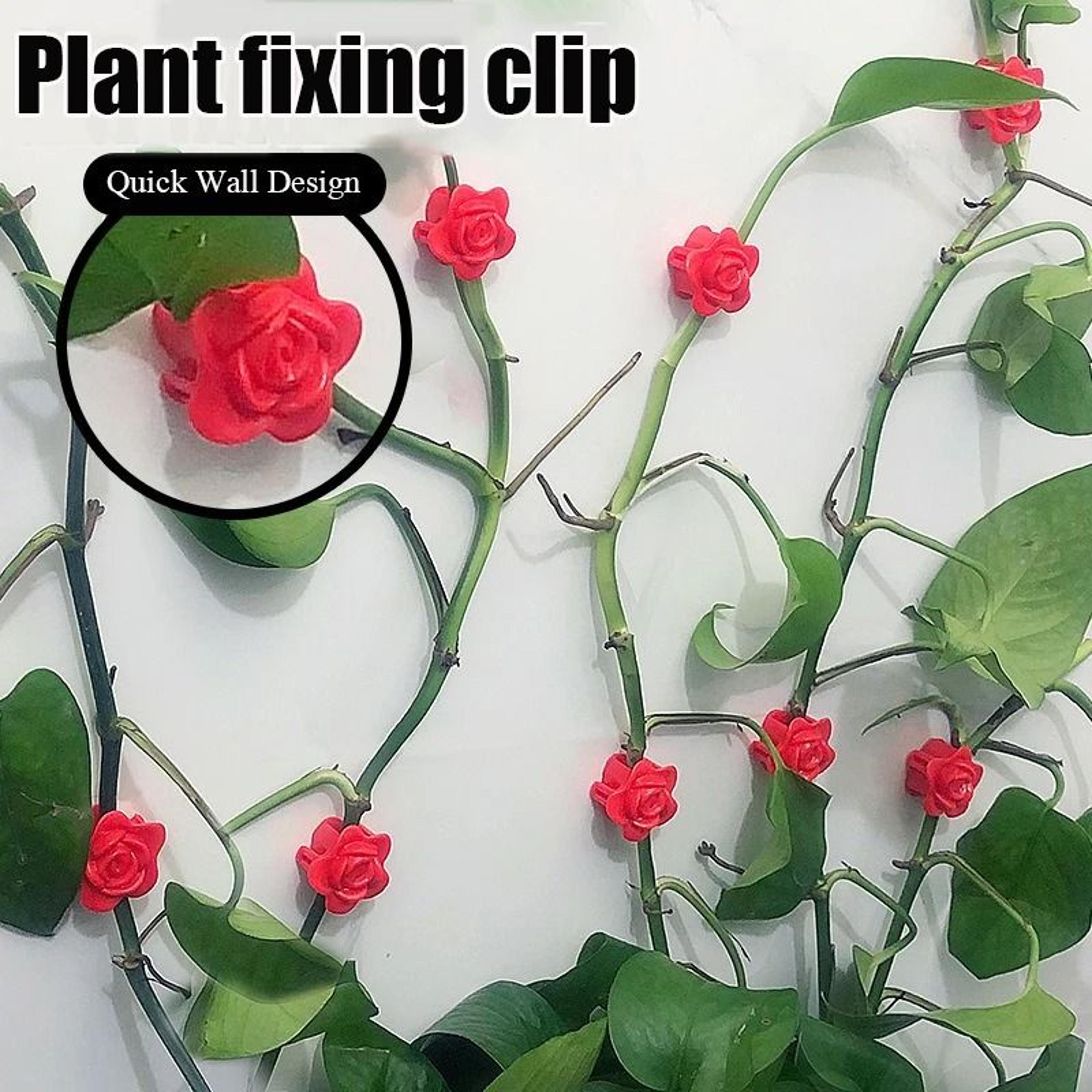 invisible self adhesive plant climbing wall clips