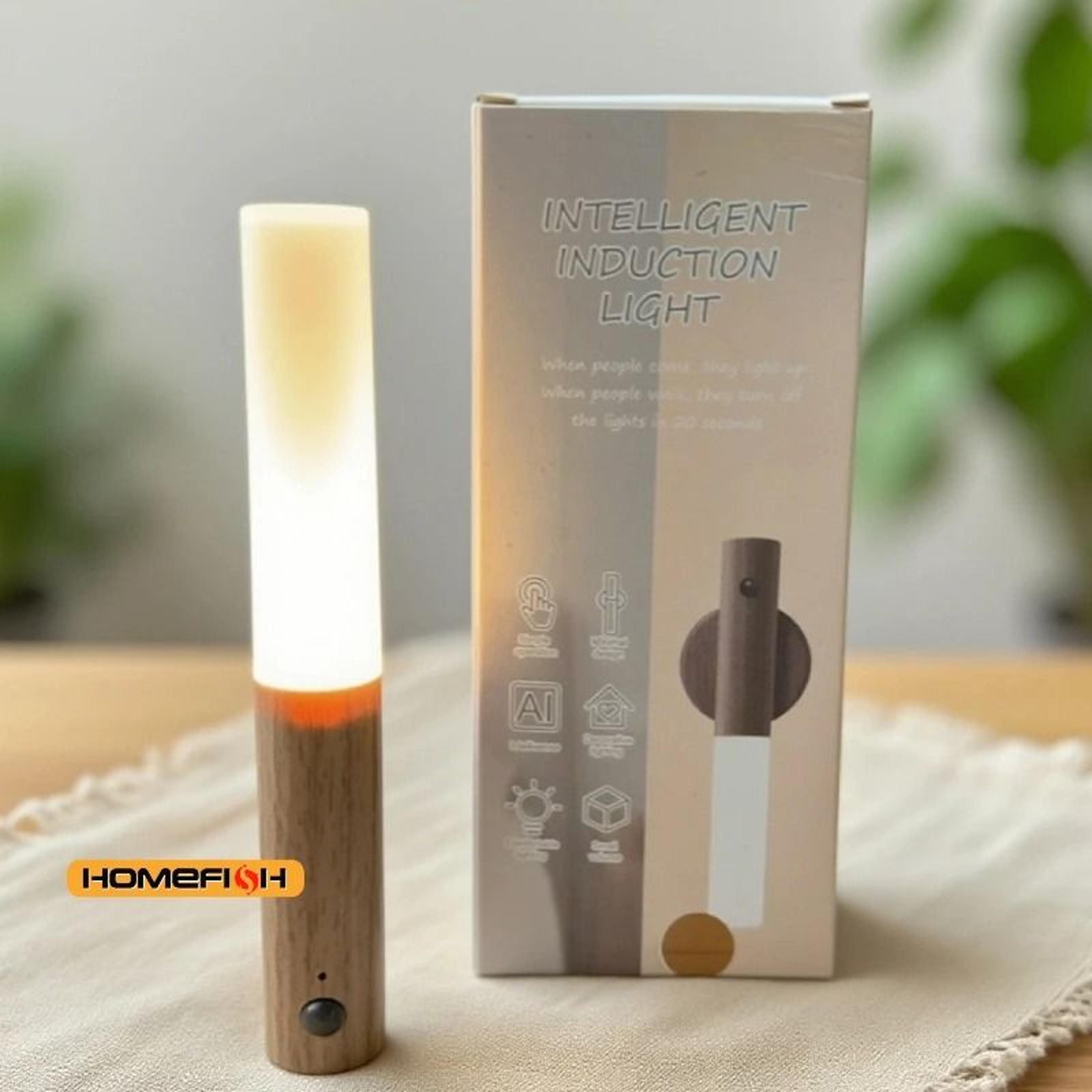 rechargeable motion sensor night light for walls and cabinets