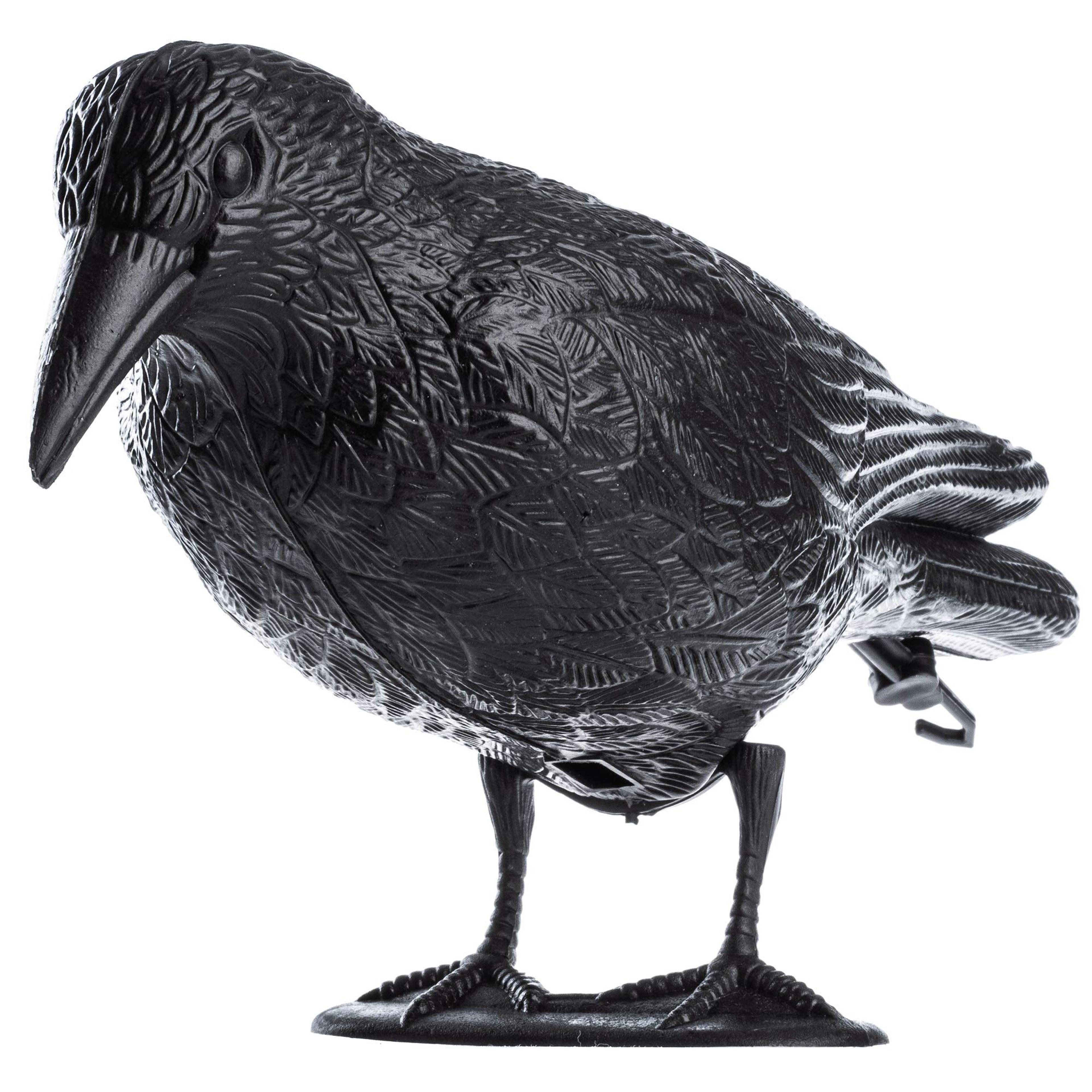 realistic black raven bird repellent and halloween crow prop