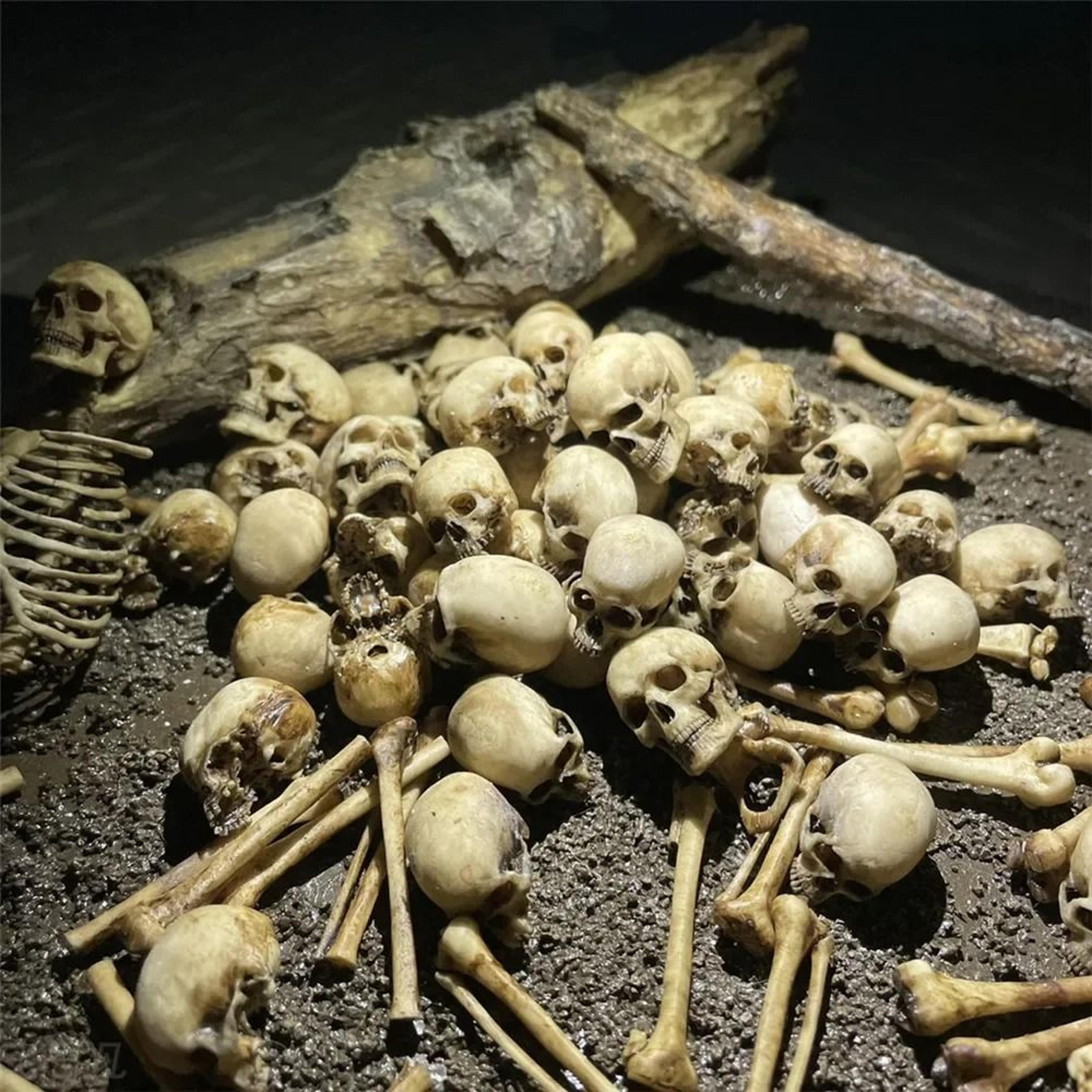 realistic mini skeleton skull dollhouse decor