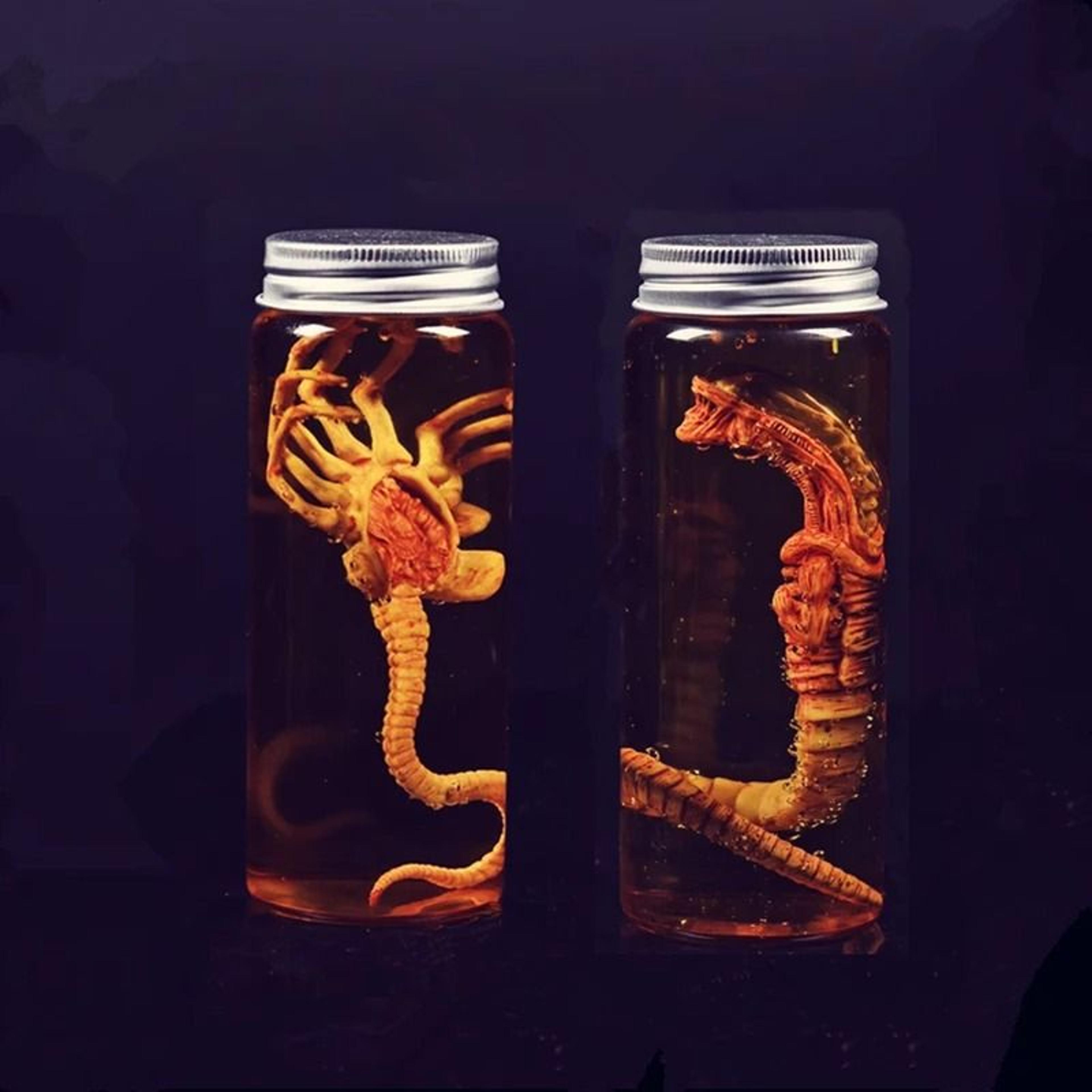 alien facehugger specimen jar replica for sci fi horror display decor