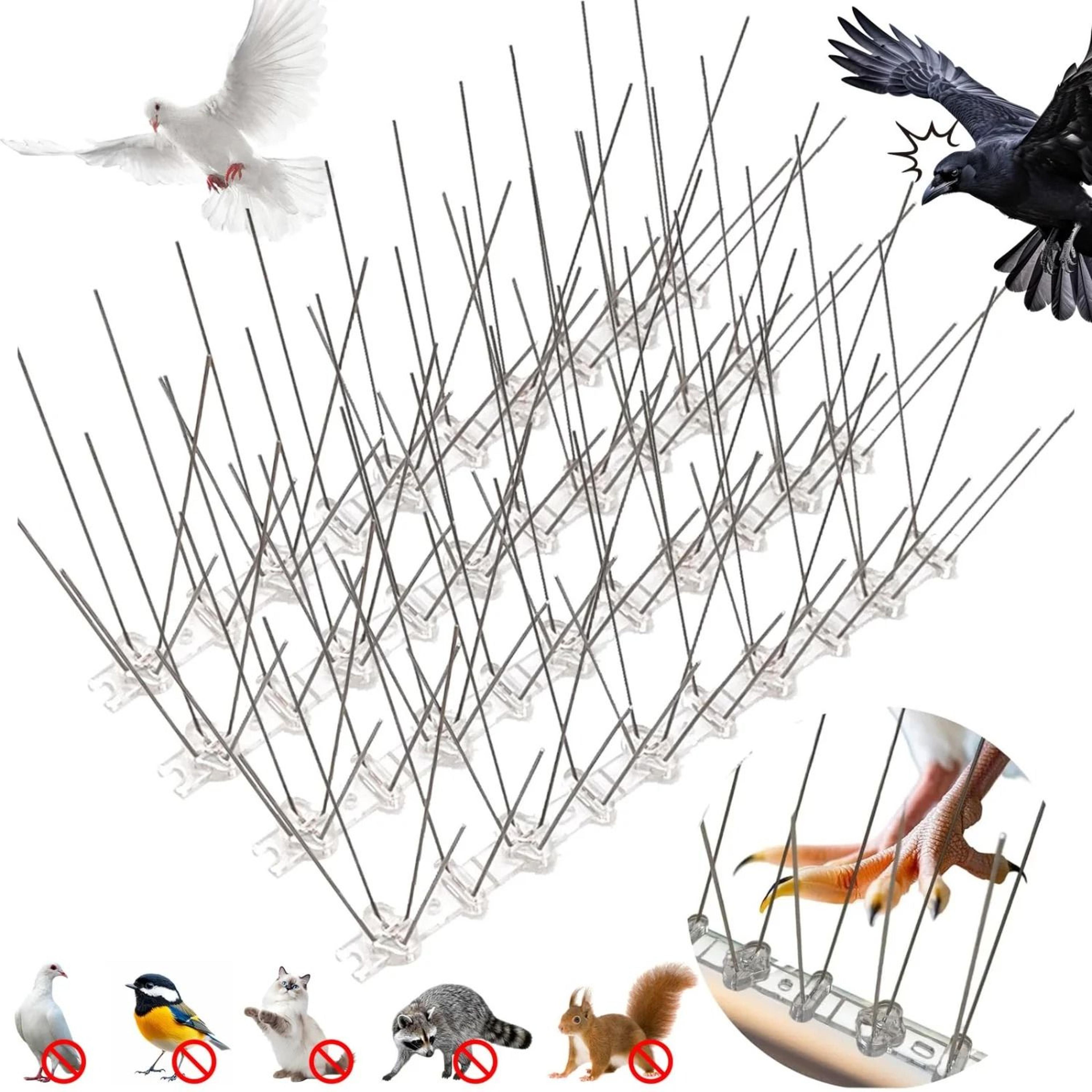 stainless steel bird deterrent spikes for roof fence yard animal control