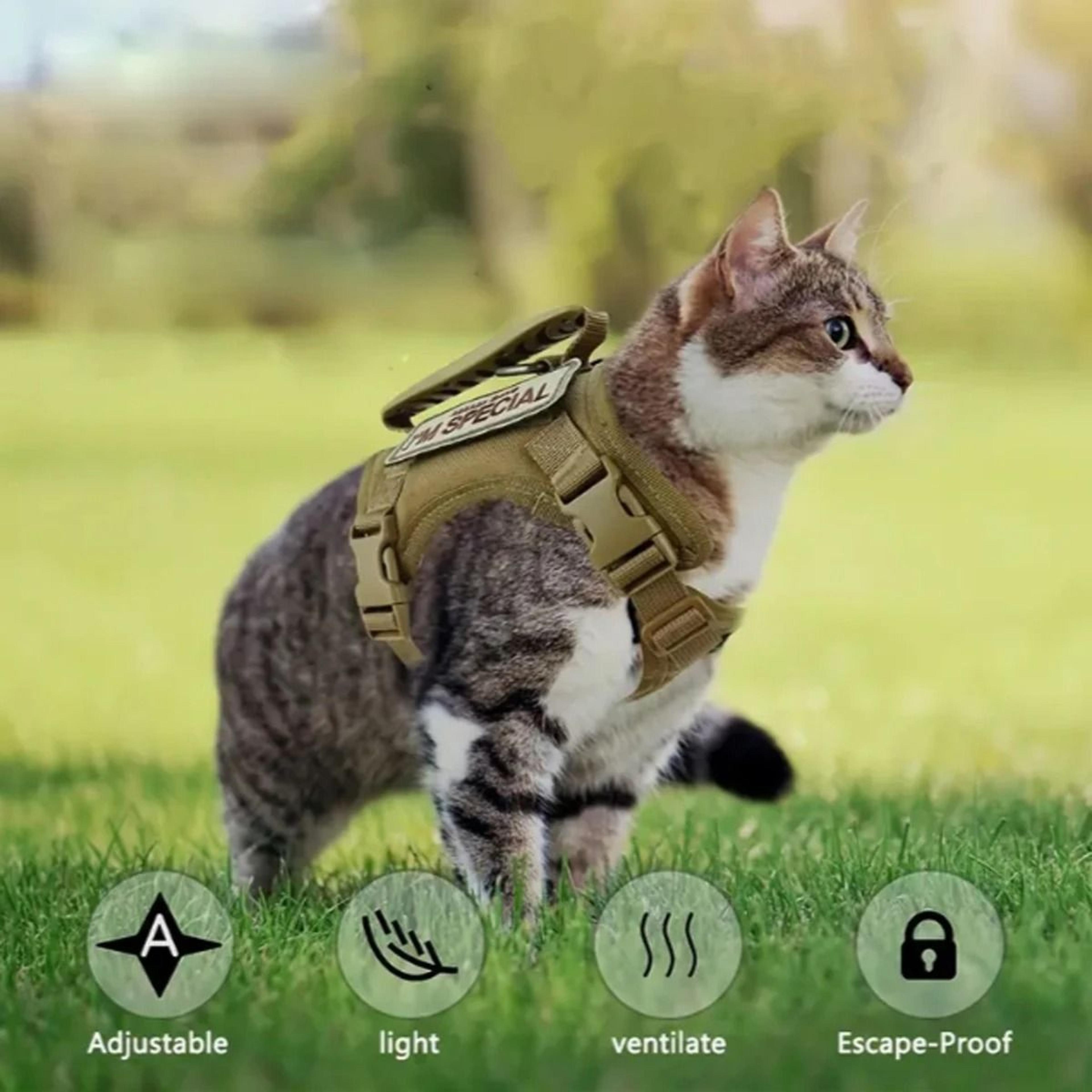 adjustable tactical cat harness vest with secure leash for outdoor walking adventures