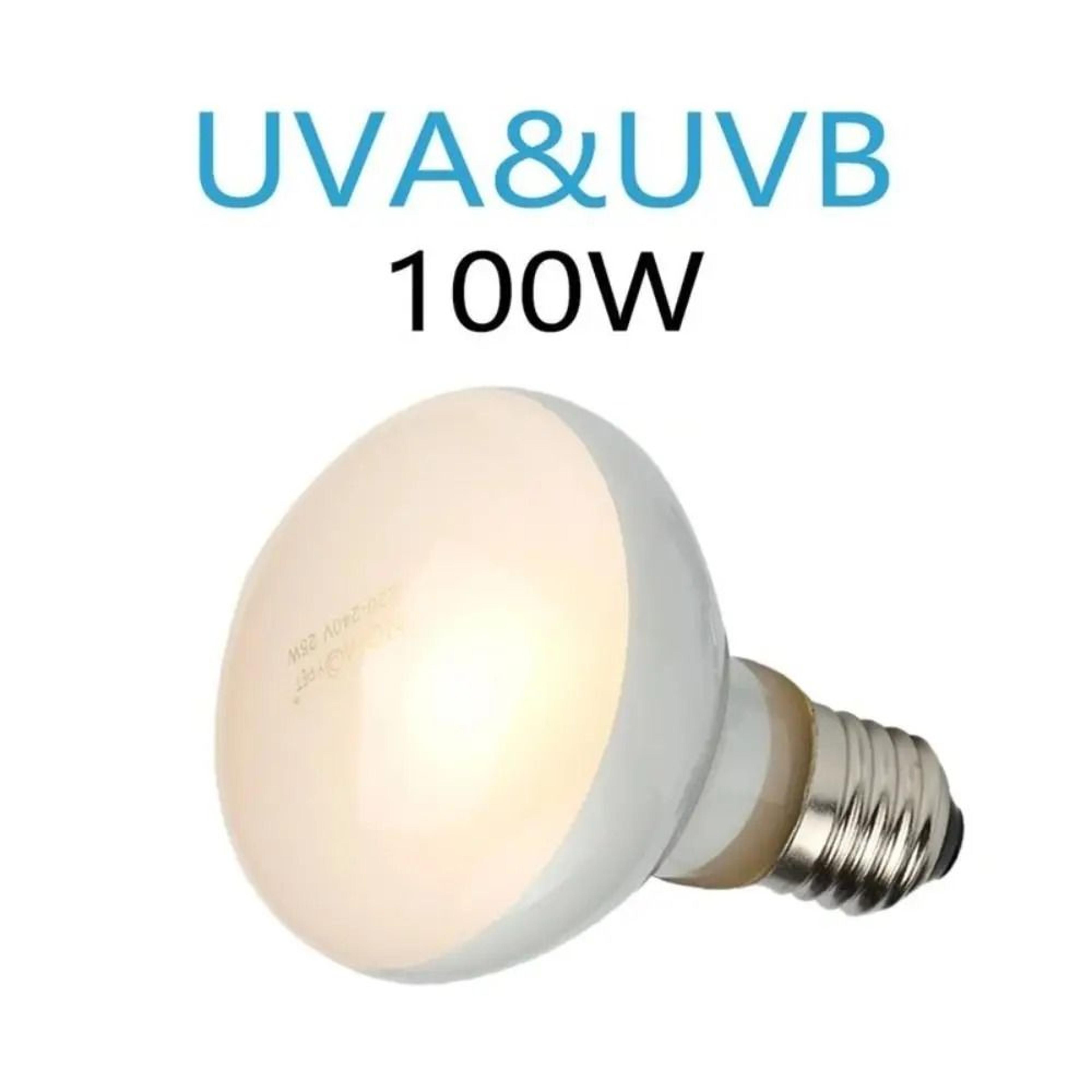 220v reptile basking heat lamp bulb for terrarium warmth
