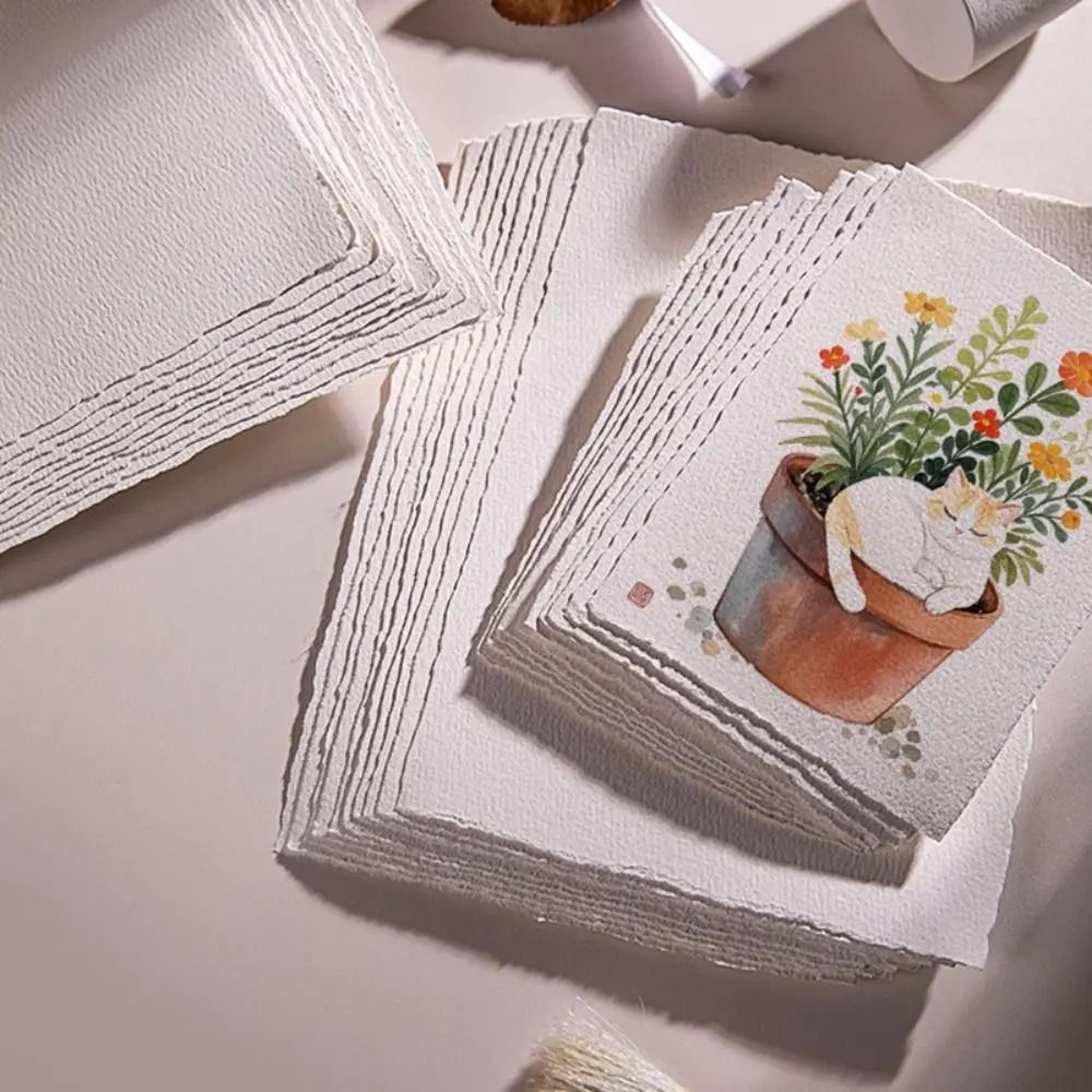 cotton watercolor paper with hand torn edges 10 sheet art set