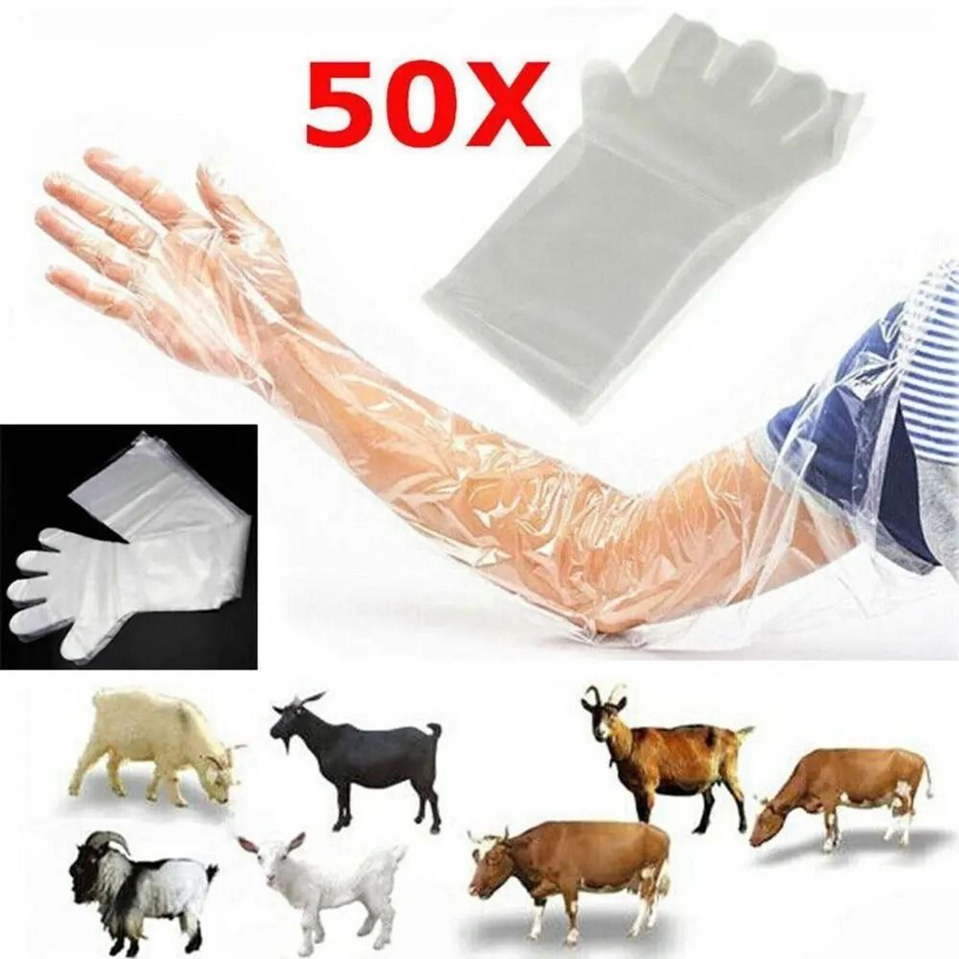 50 piece disposable long arm veterinary gloves