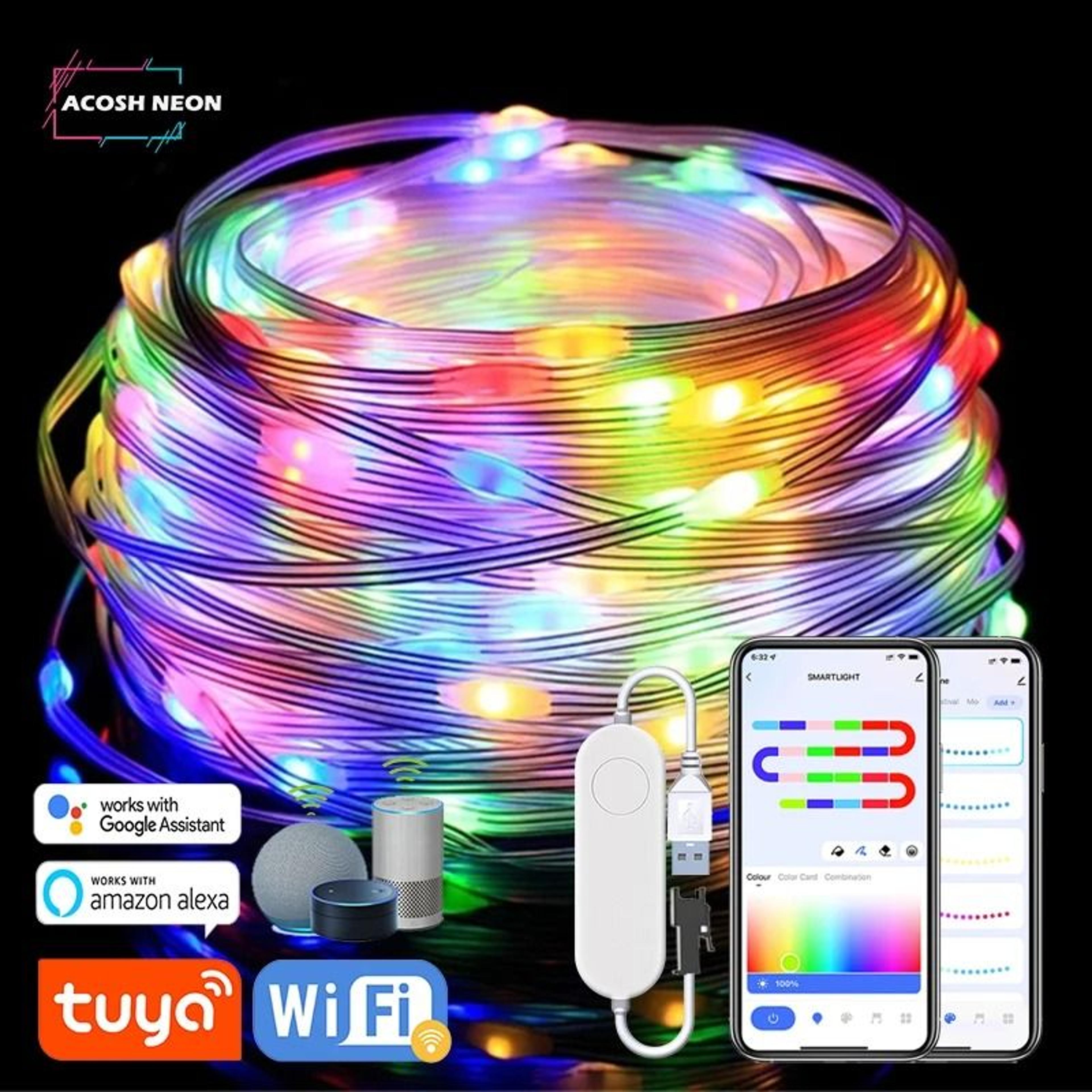 tuya rgbic smart led string lights with alexa and music sync