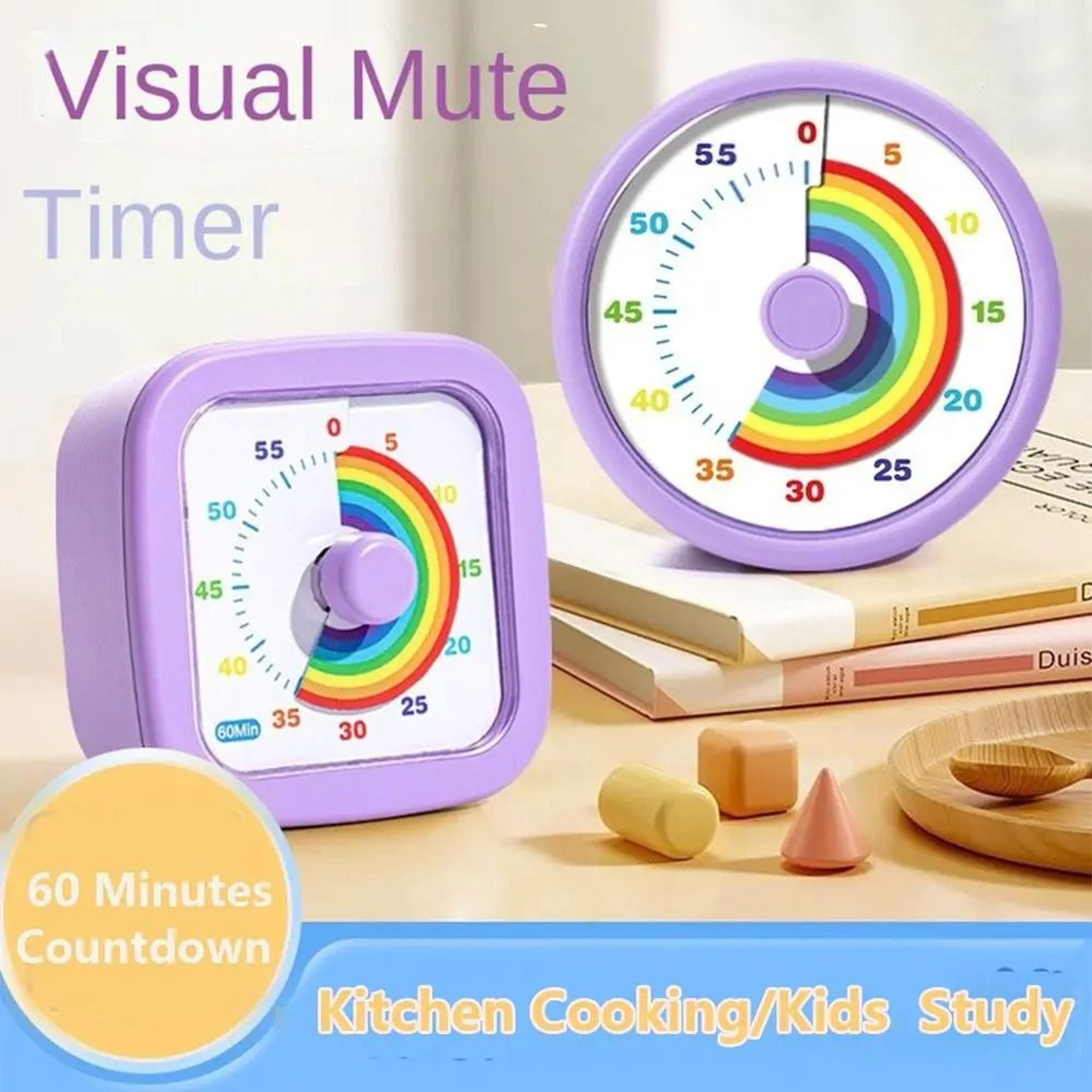 focusview 60 minute visual timer and silent countdown timer