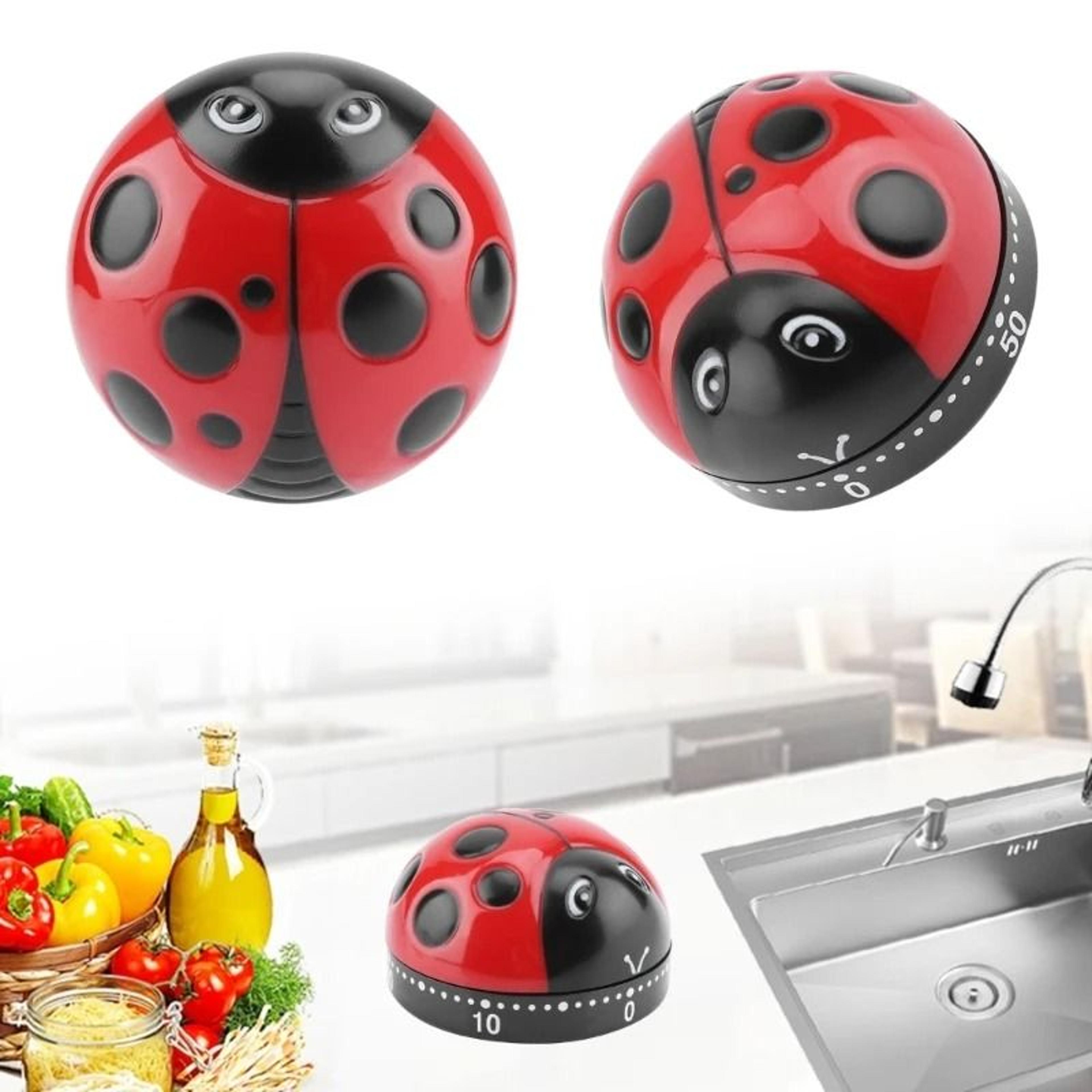 ladytime ladybug kitchen timer and 60-minute timer