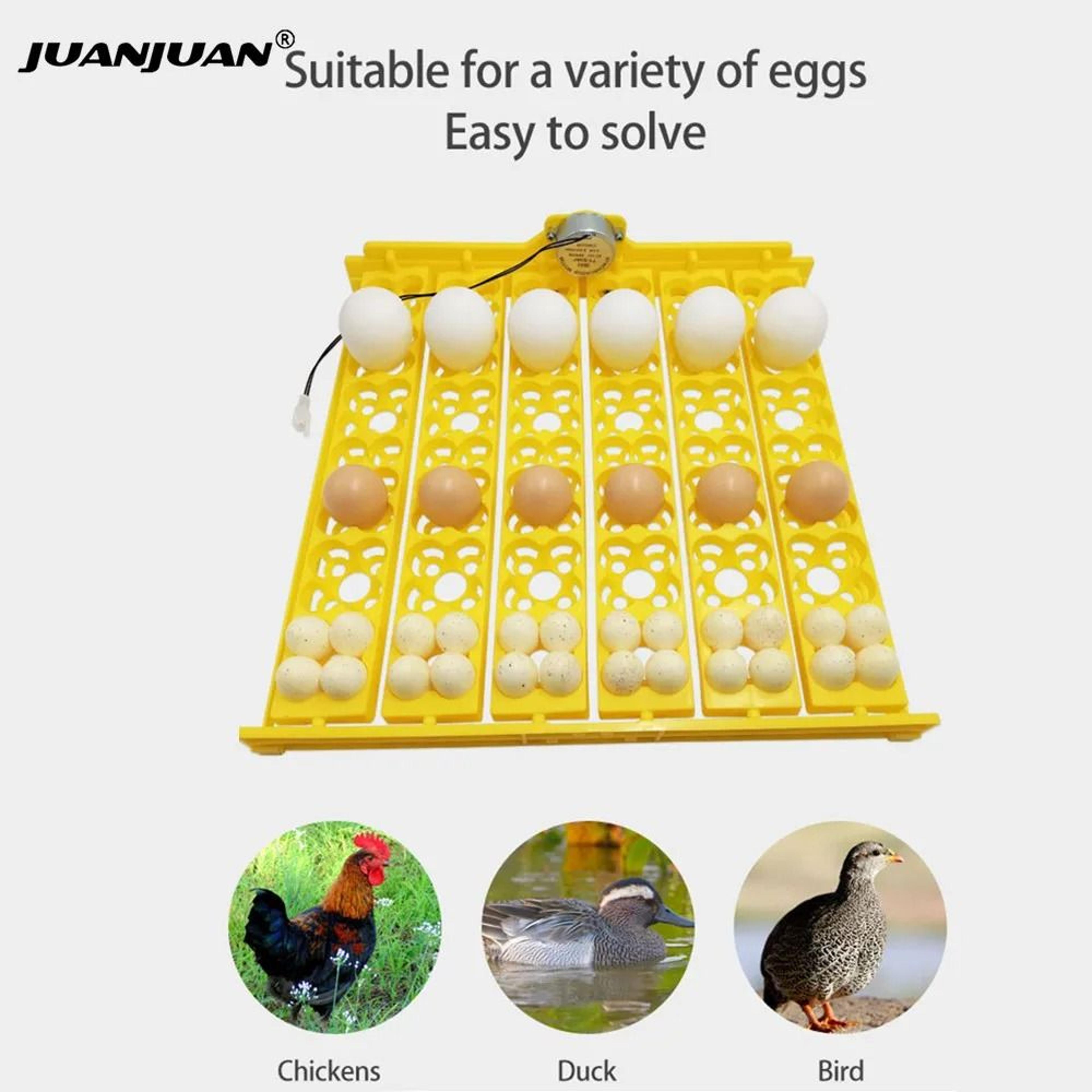 hatchease 24-slot automatic egg turner tray for poultry incubators