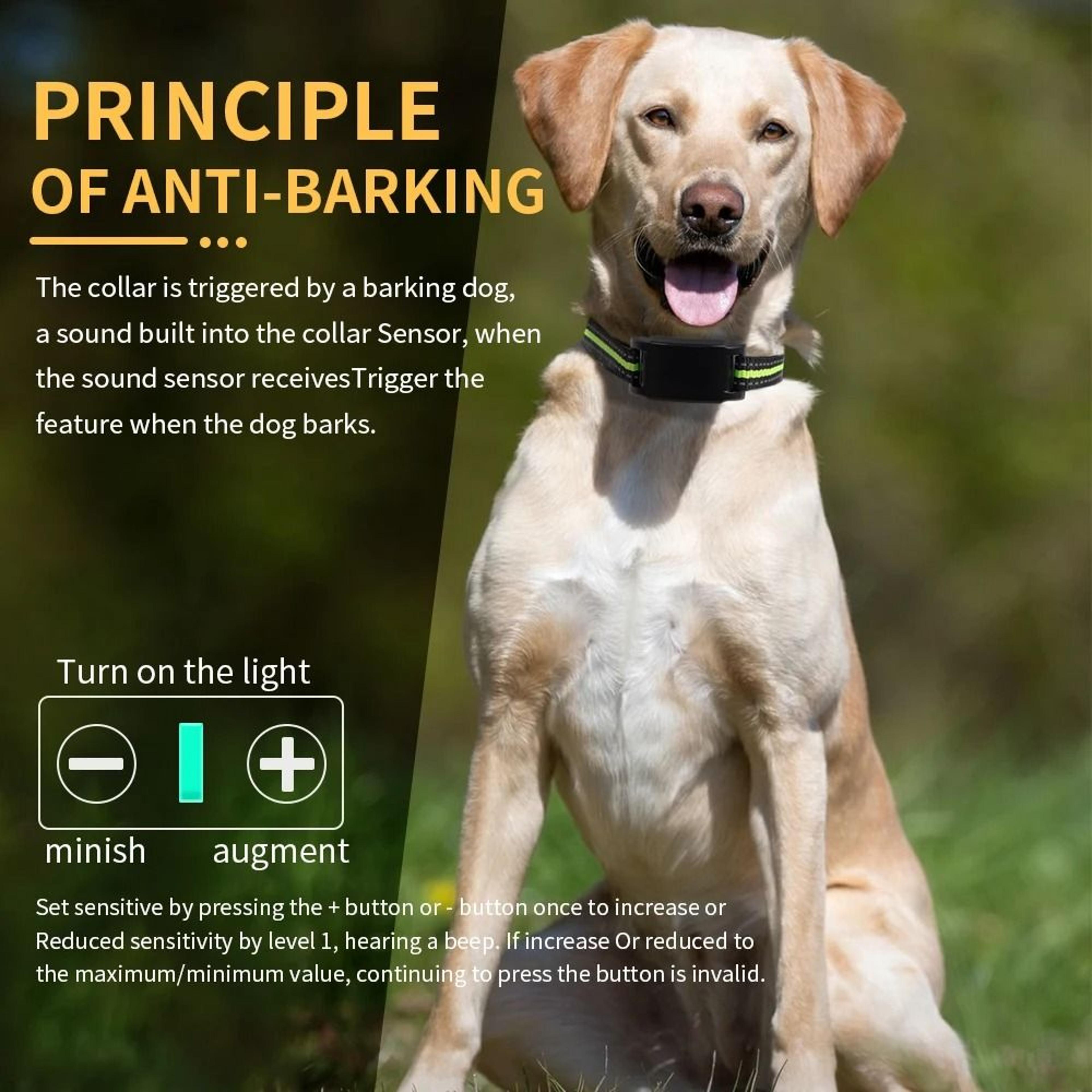 smartguard automatic bark collar with 7-level sensitivity and display