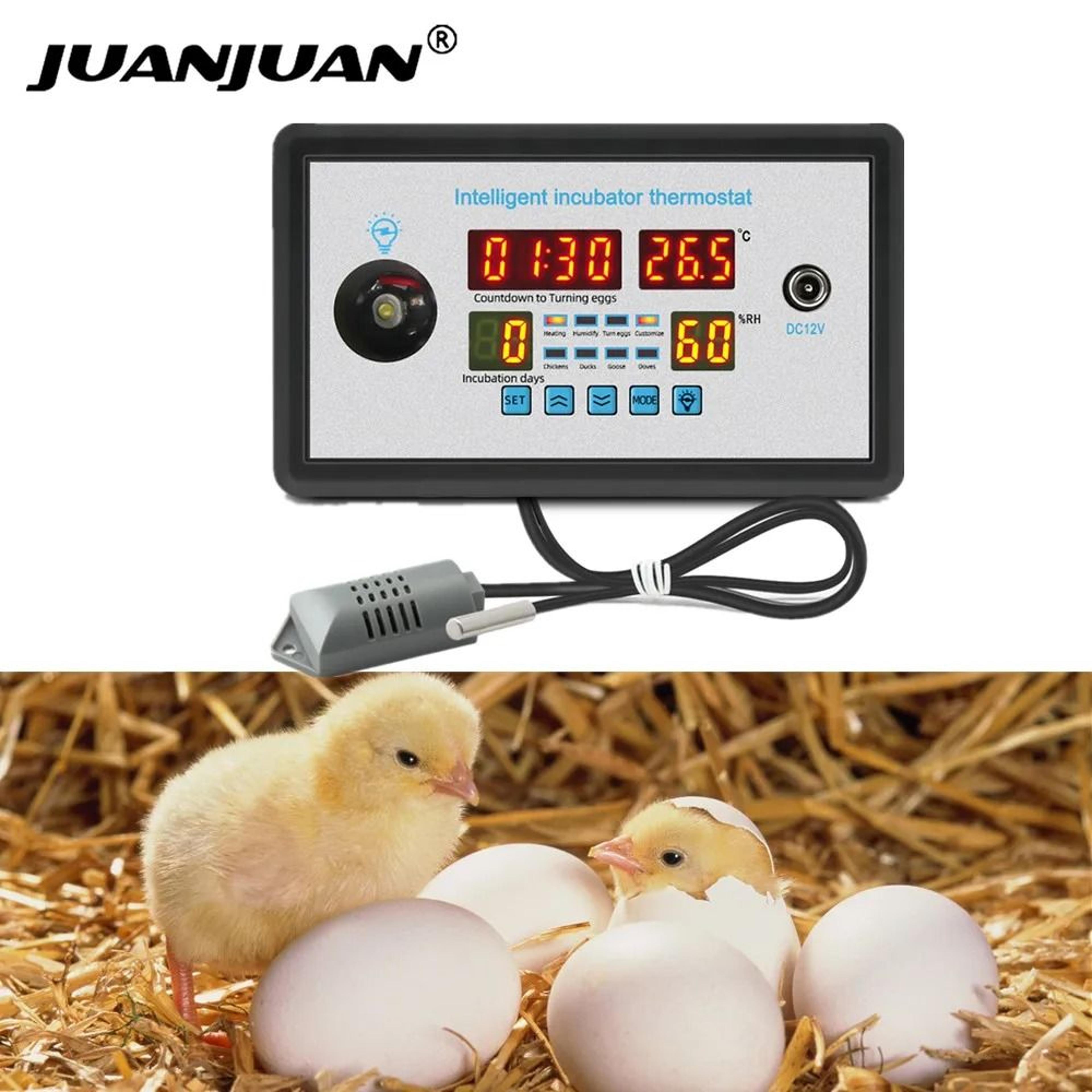 hatchguard 12v incubator thermostat and temperature humidity controller