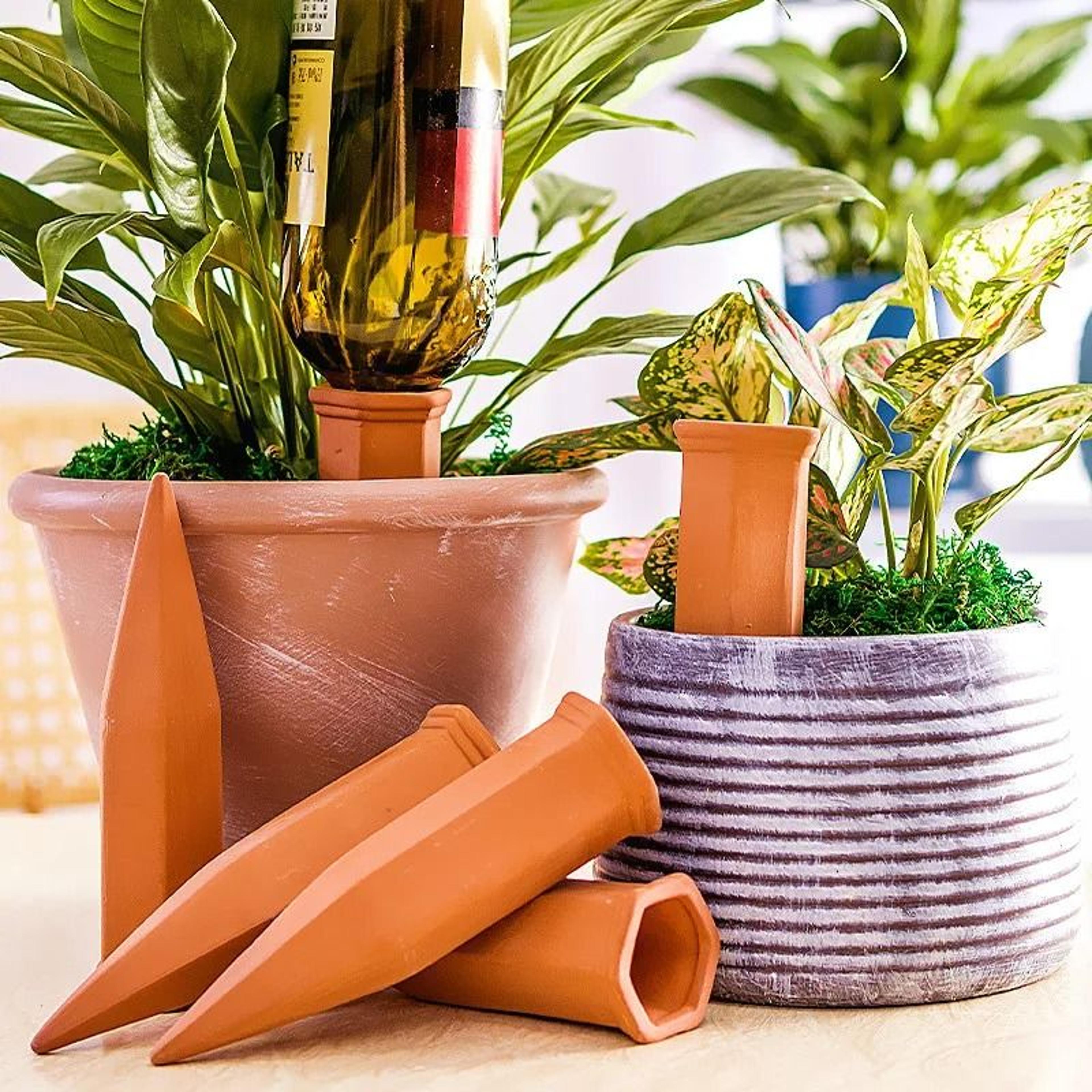 4-piece terracotta self-watering stakes for automatic plant care