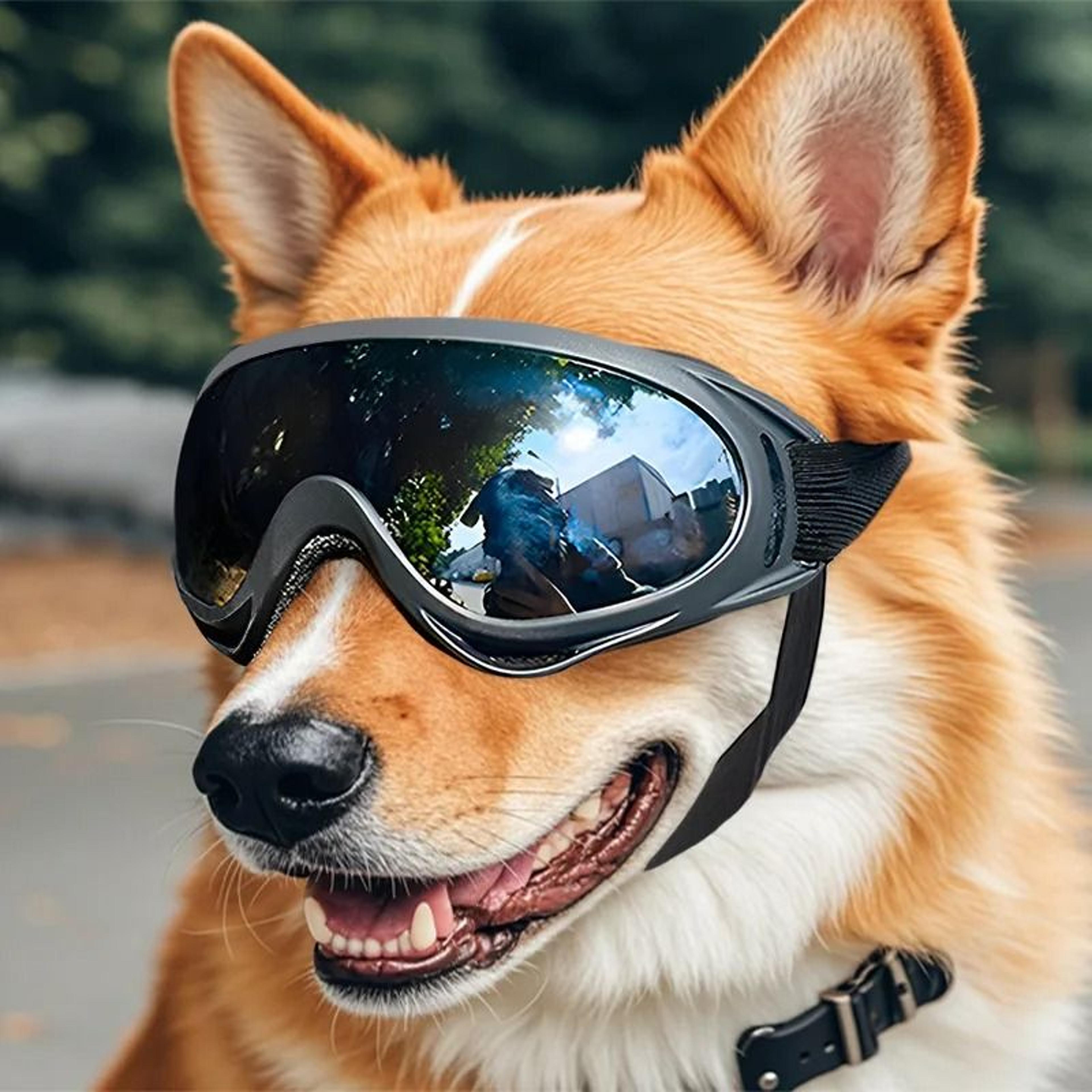 adjustable anti-uv dog goggles for outdoor eye protection