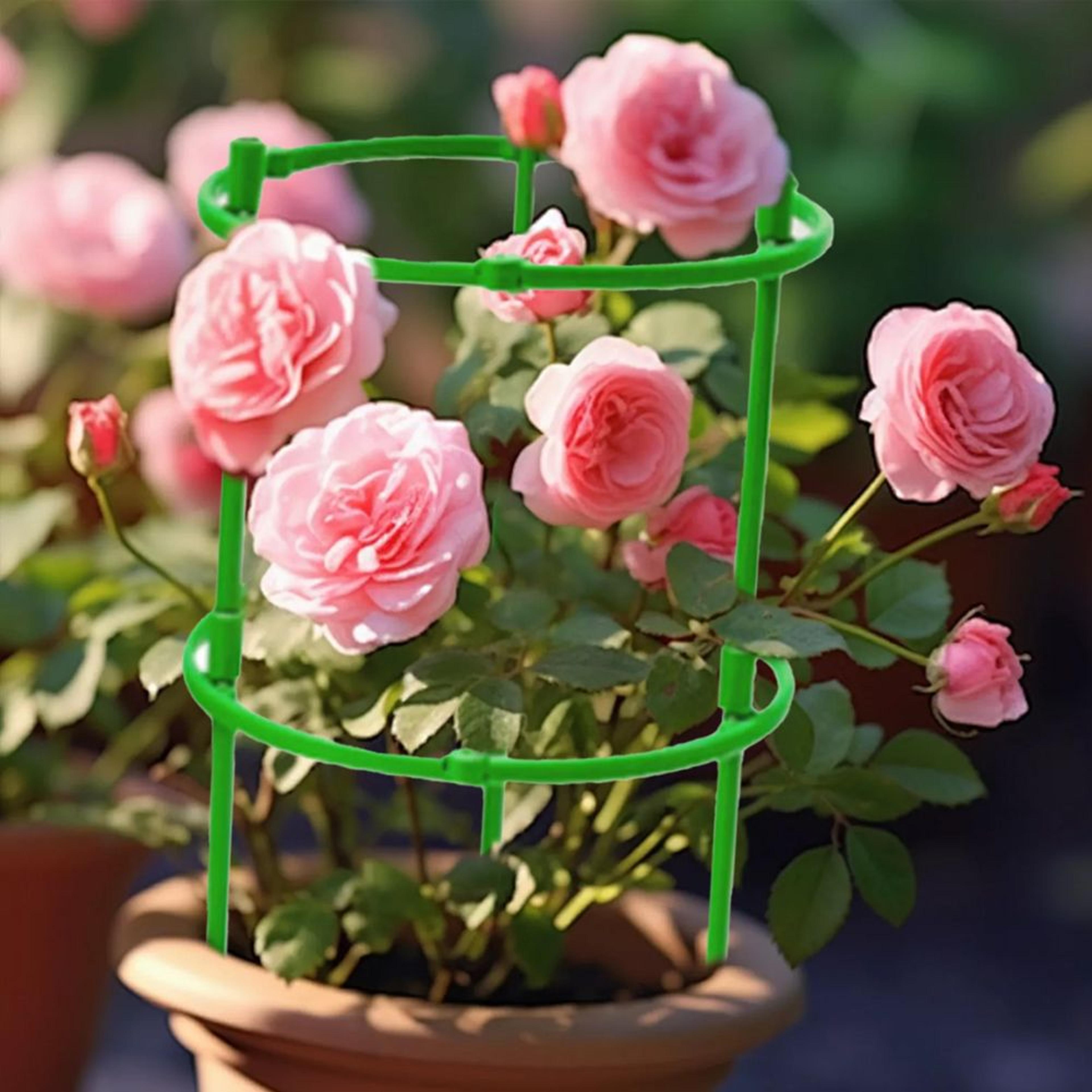 2-layer tomato cage plant support round trellis for pots and climbing plants