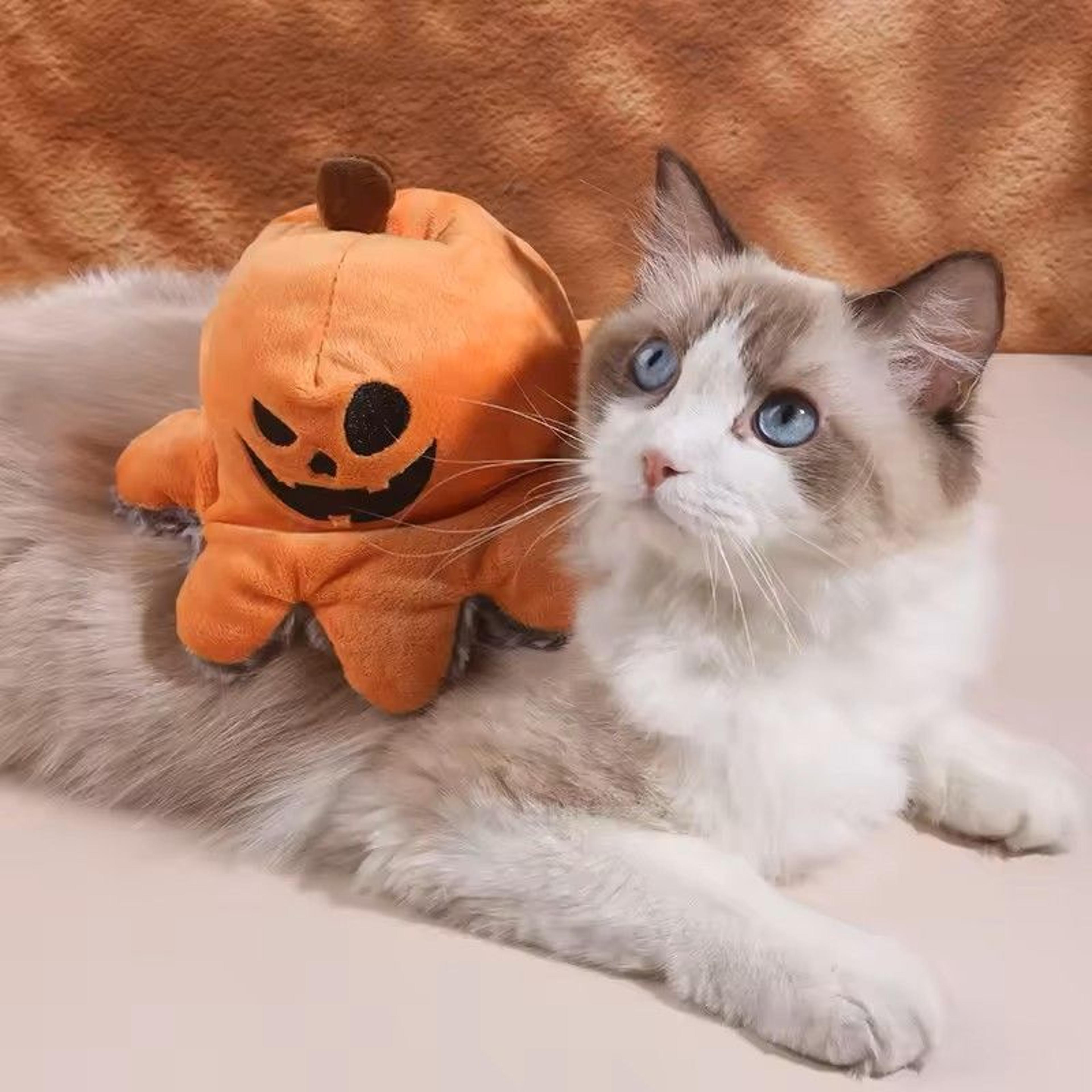 halloween dog toy reversible plush flip pumpkin octopus with squeaker