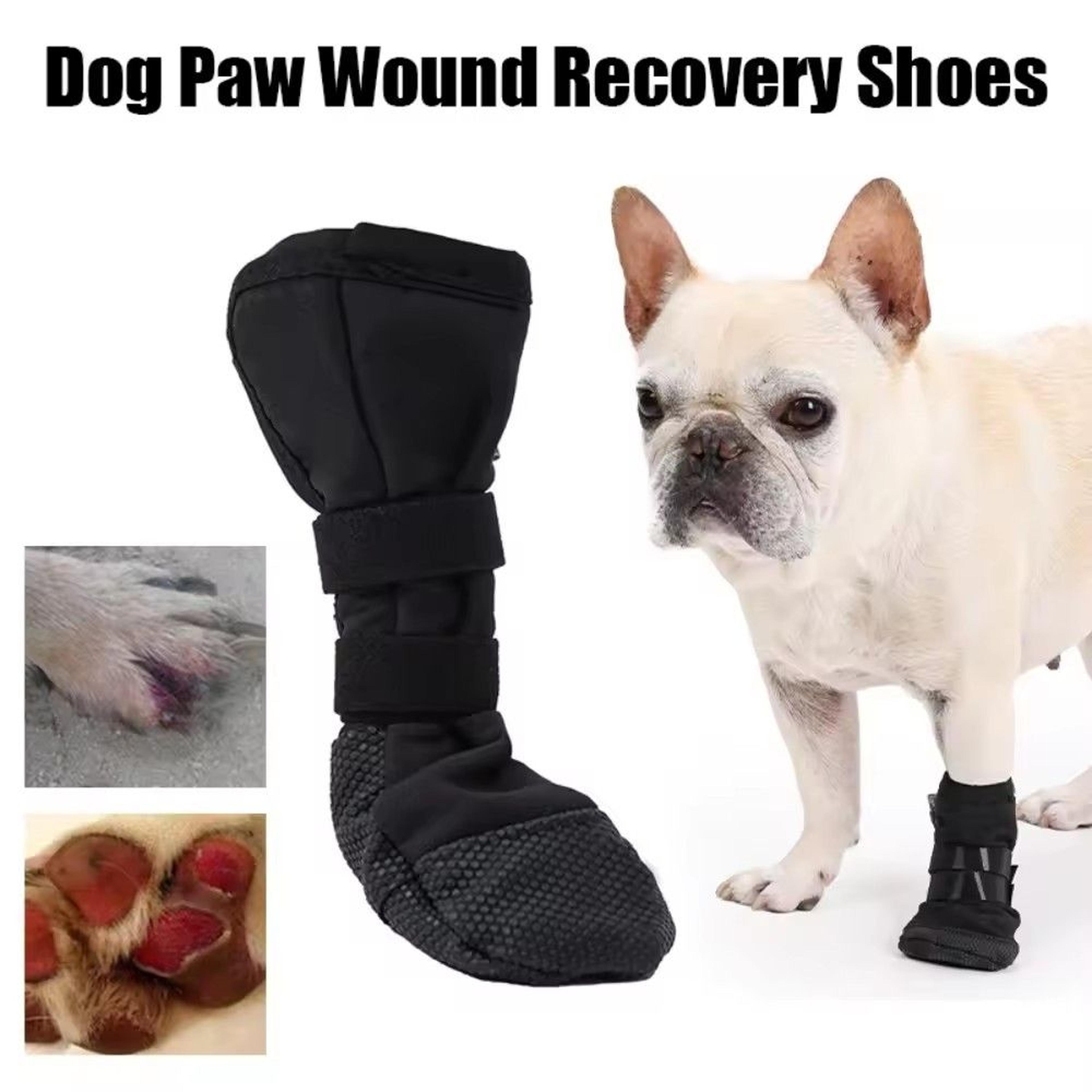 waterproof dog paw cover booties for recovery & outdoor protection (set of 4)