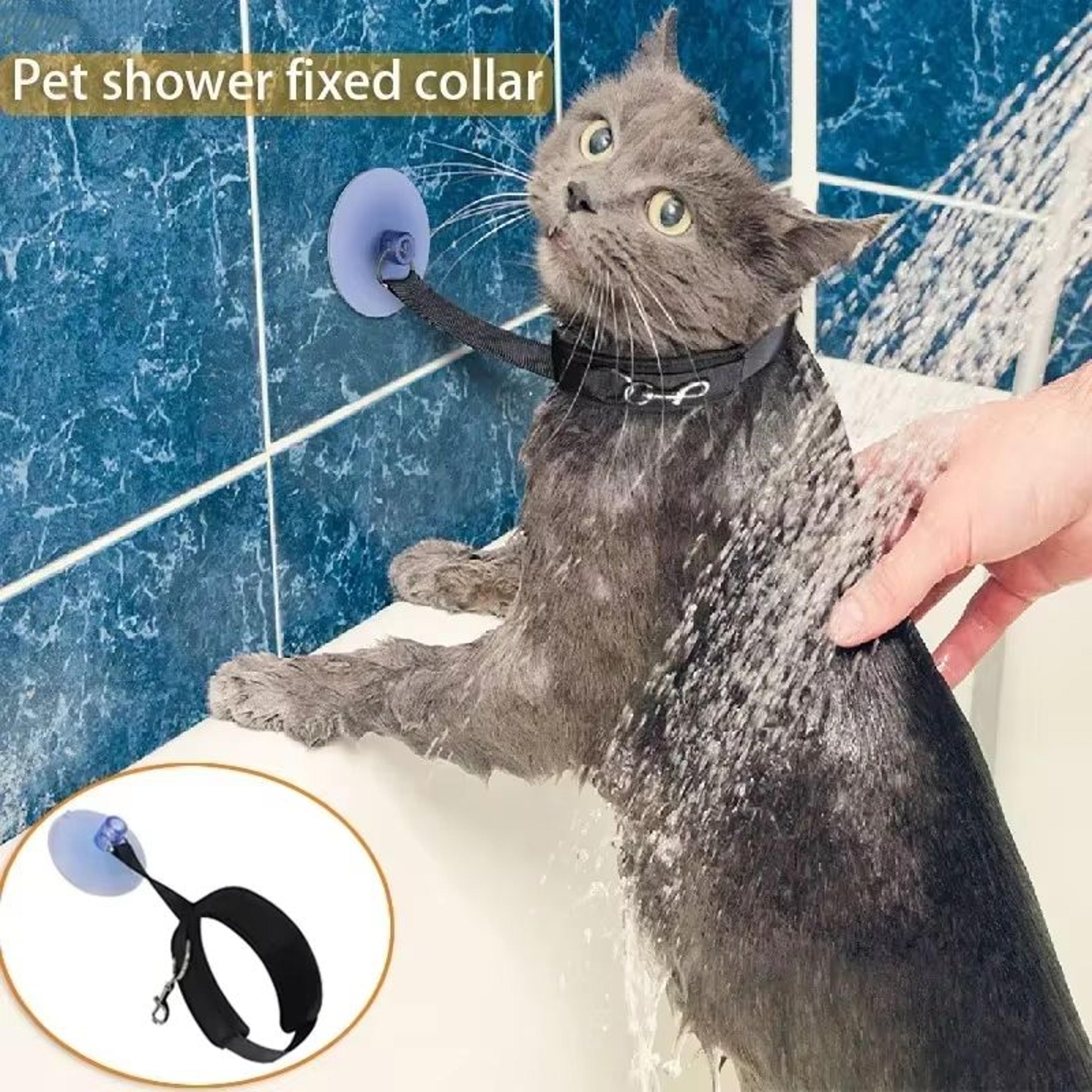 suction cup pet bathing tether with adjustable collar for easier grooming