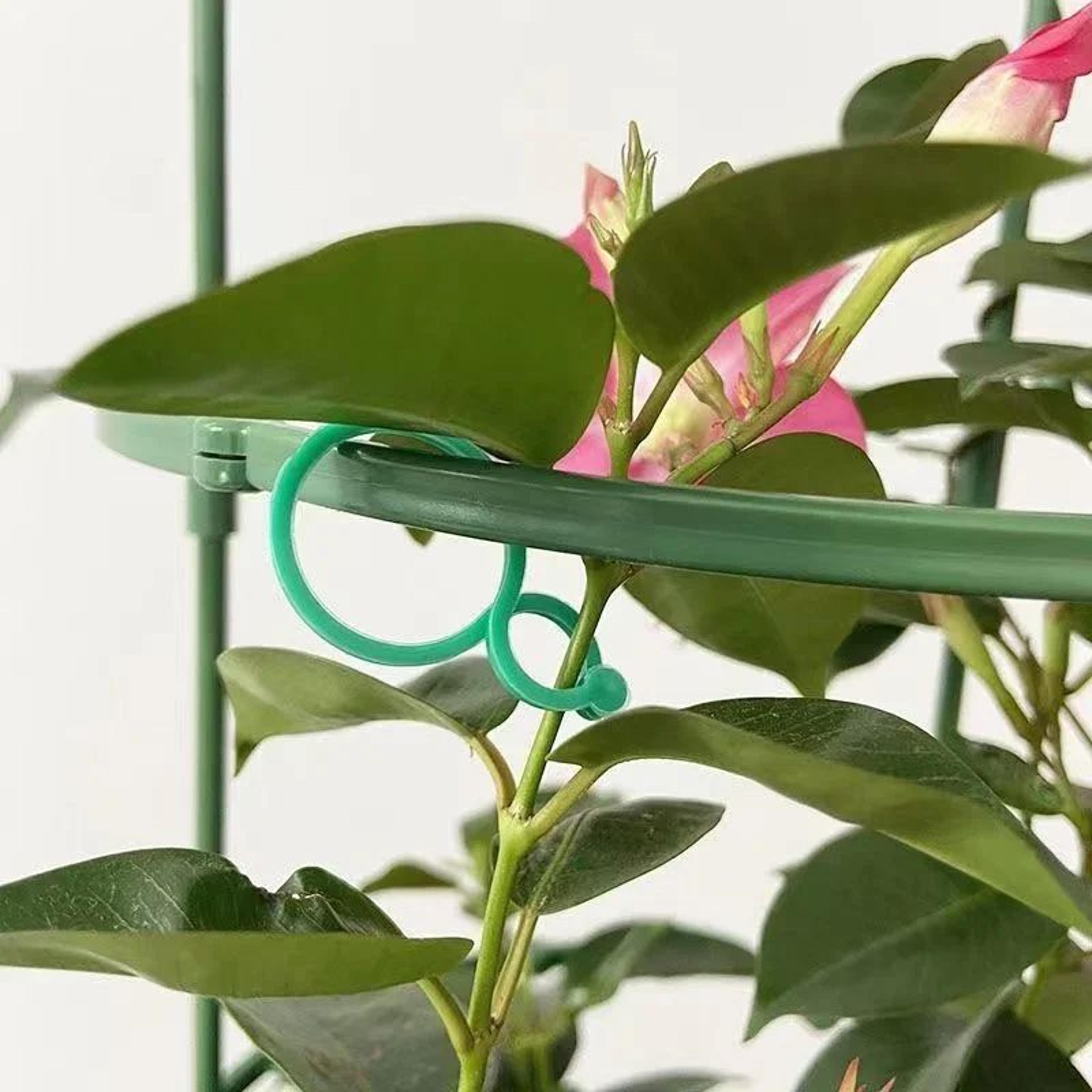 reusable garden plant clips & vine ties – adjustable support hooks for tomatoes and vines
