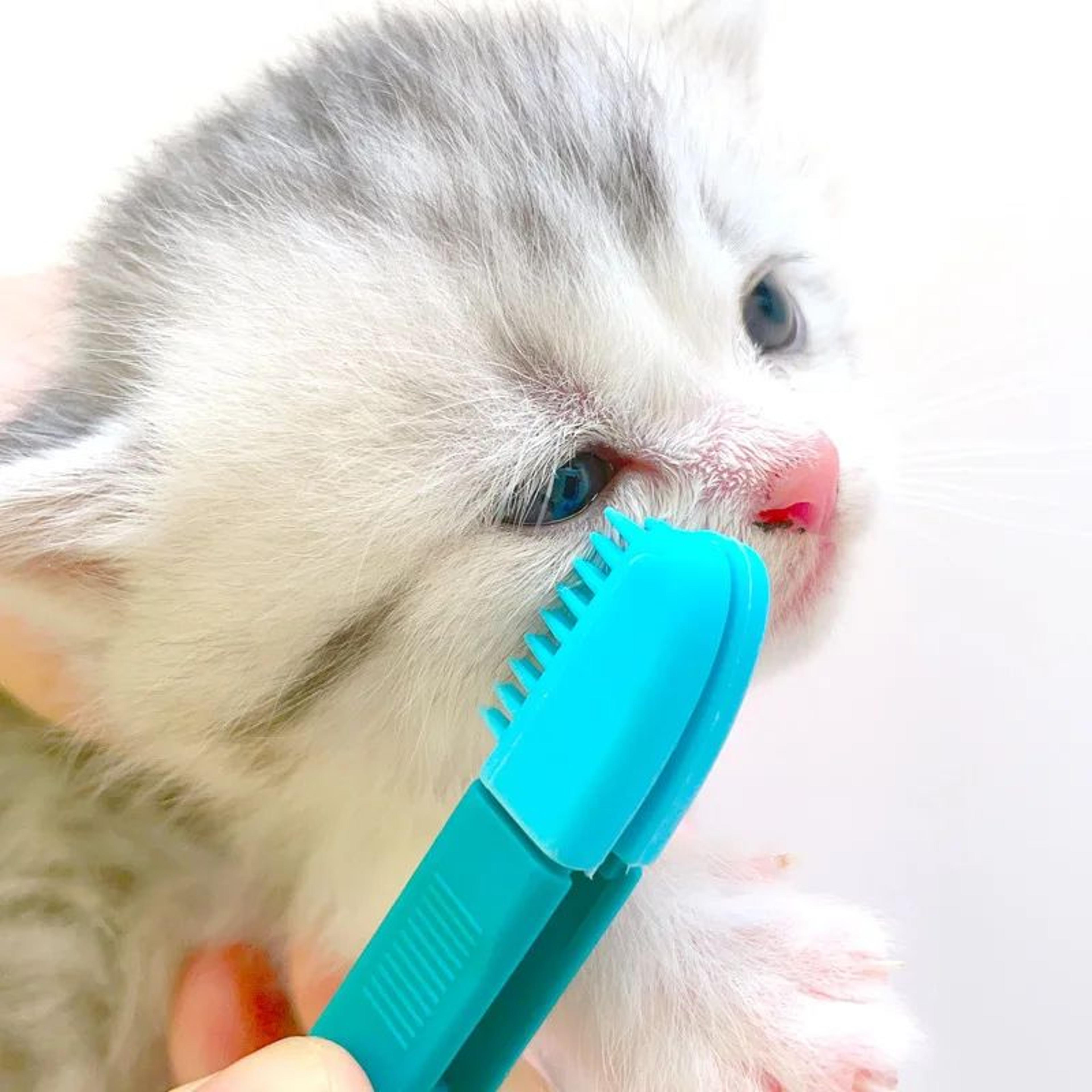 clearview gentle care brush – pet eye cleaning tool & soft tear stain remover for cats and dogs