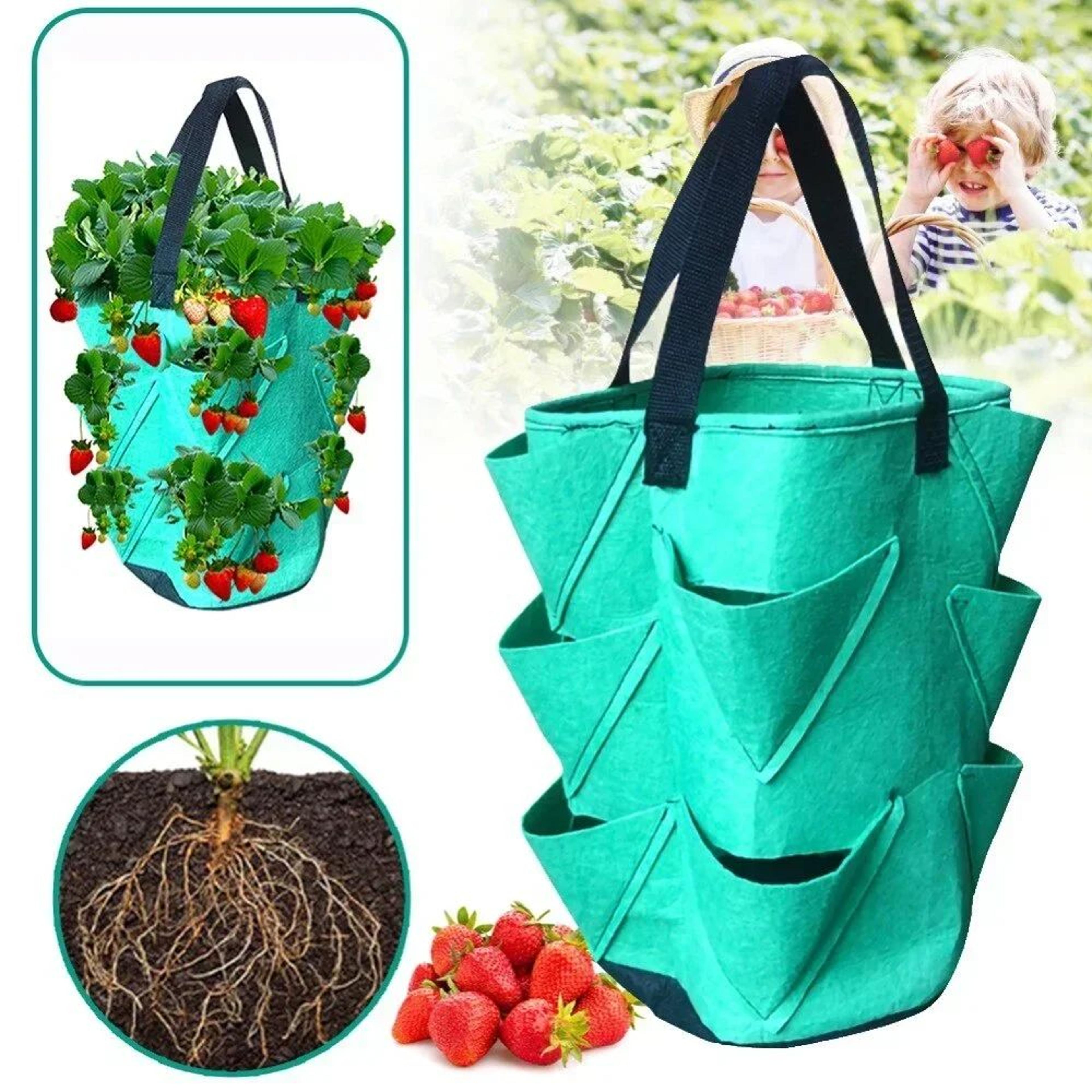 hanging strawberry grow bag – space-saving plastic planting bag for home gardens