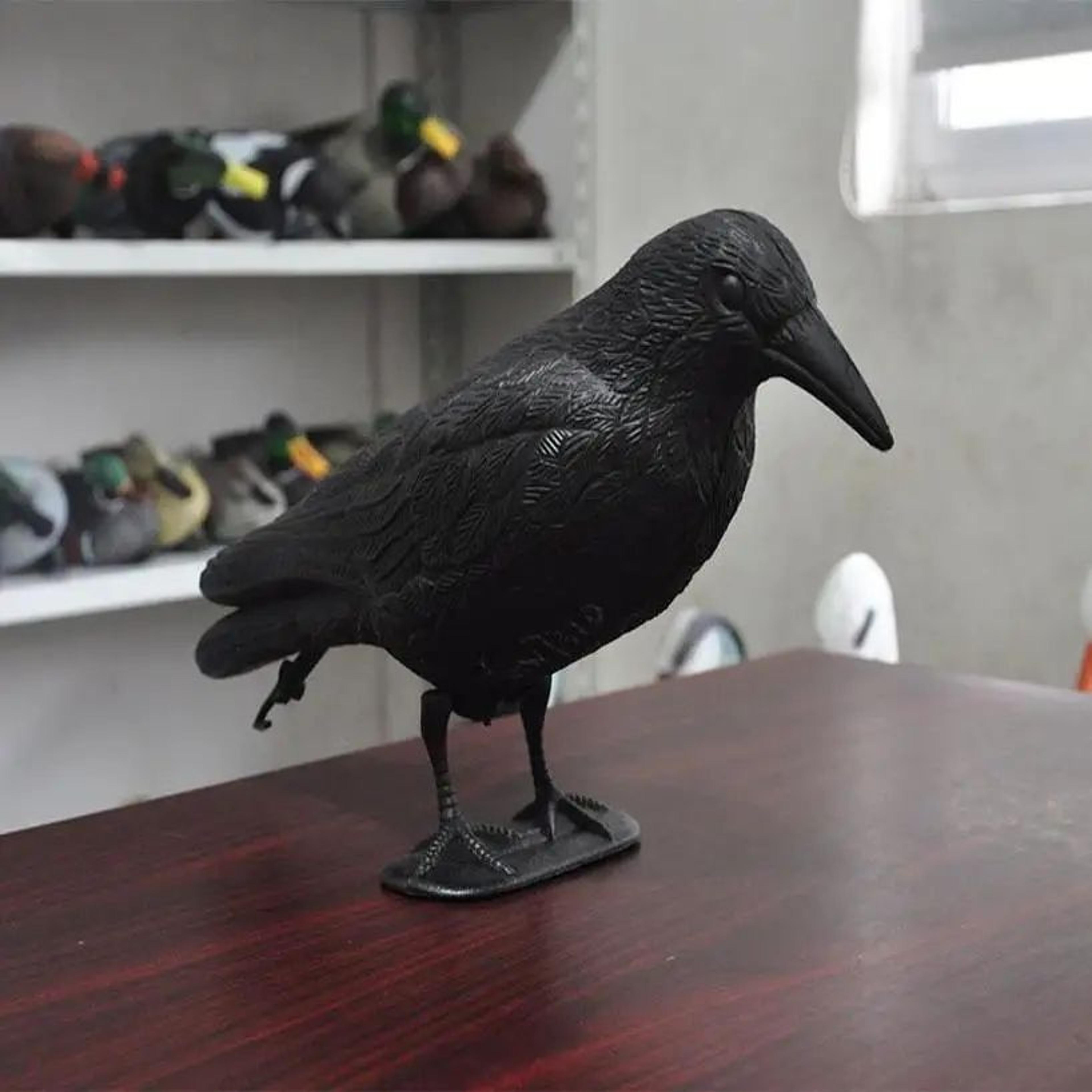 realistic black crow bird repellent – outdoor garden bird deterrent decor