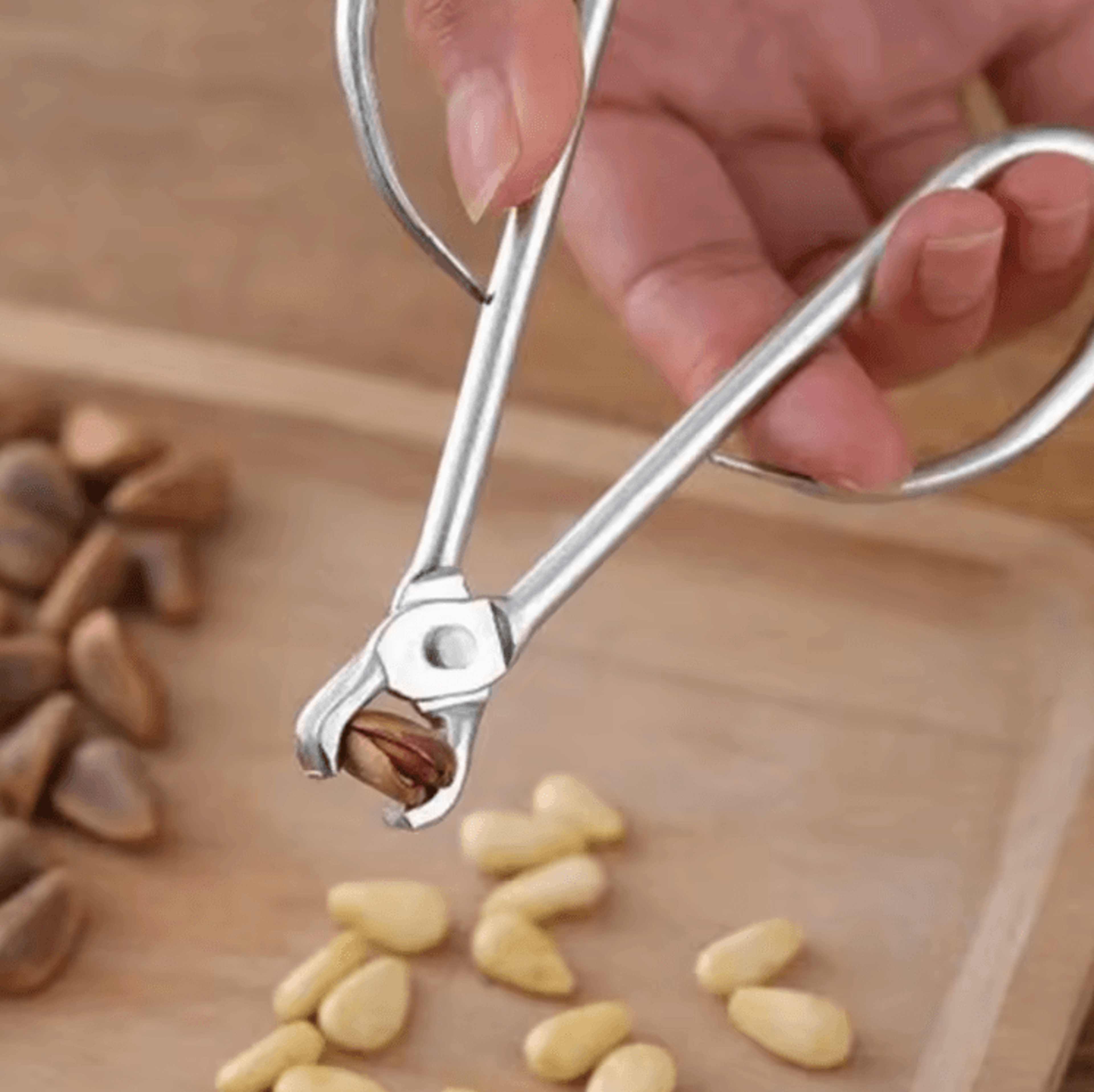 heavy-duty pine nut opener pliers – labor-saving stainless steel nut cracker tool
