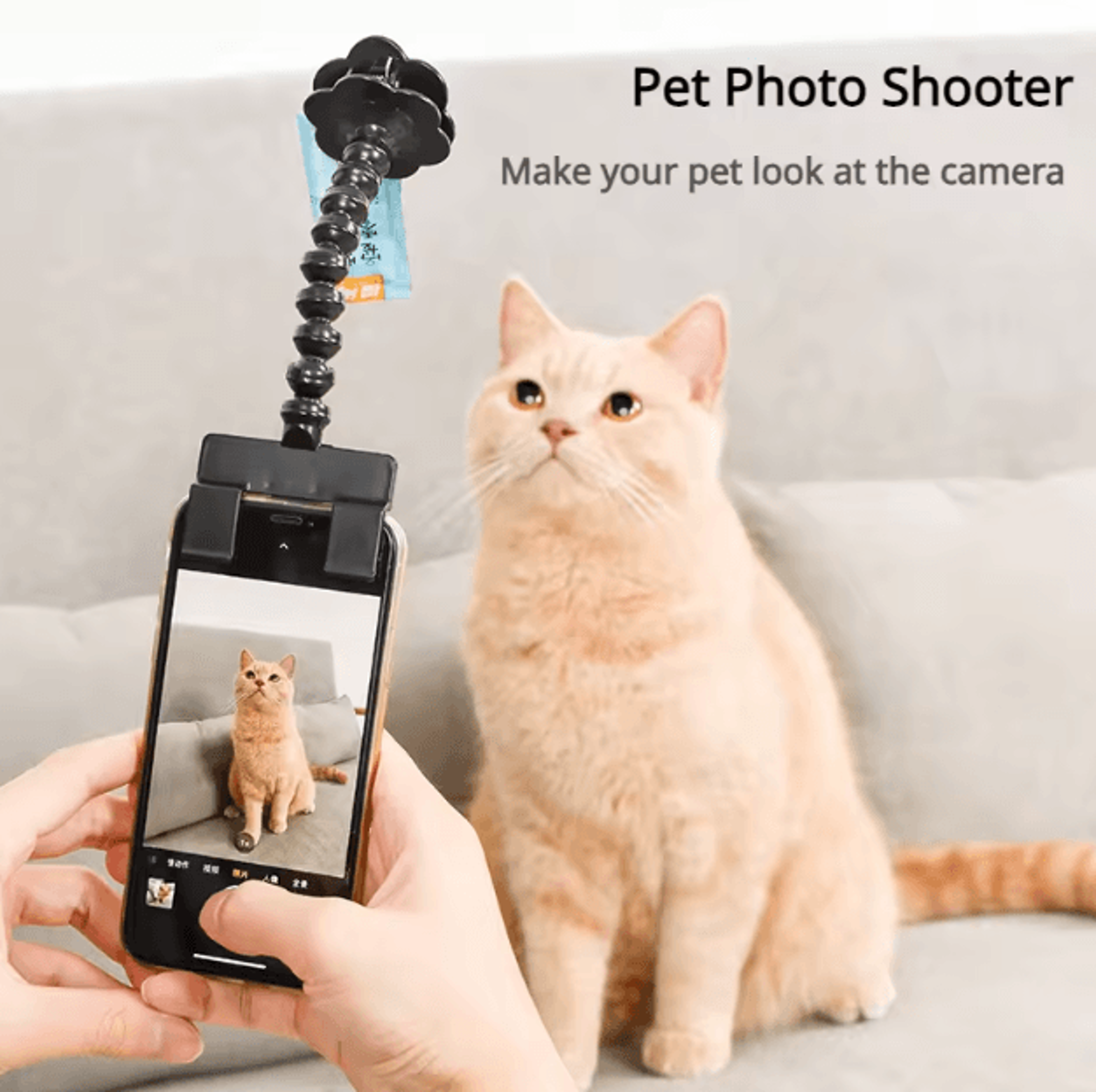 snappaw pet selfie clip & camera toy for cats and dogs