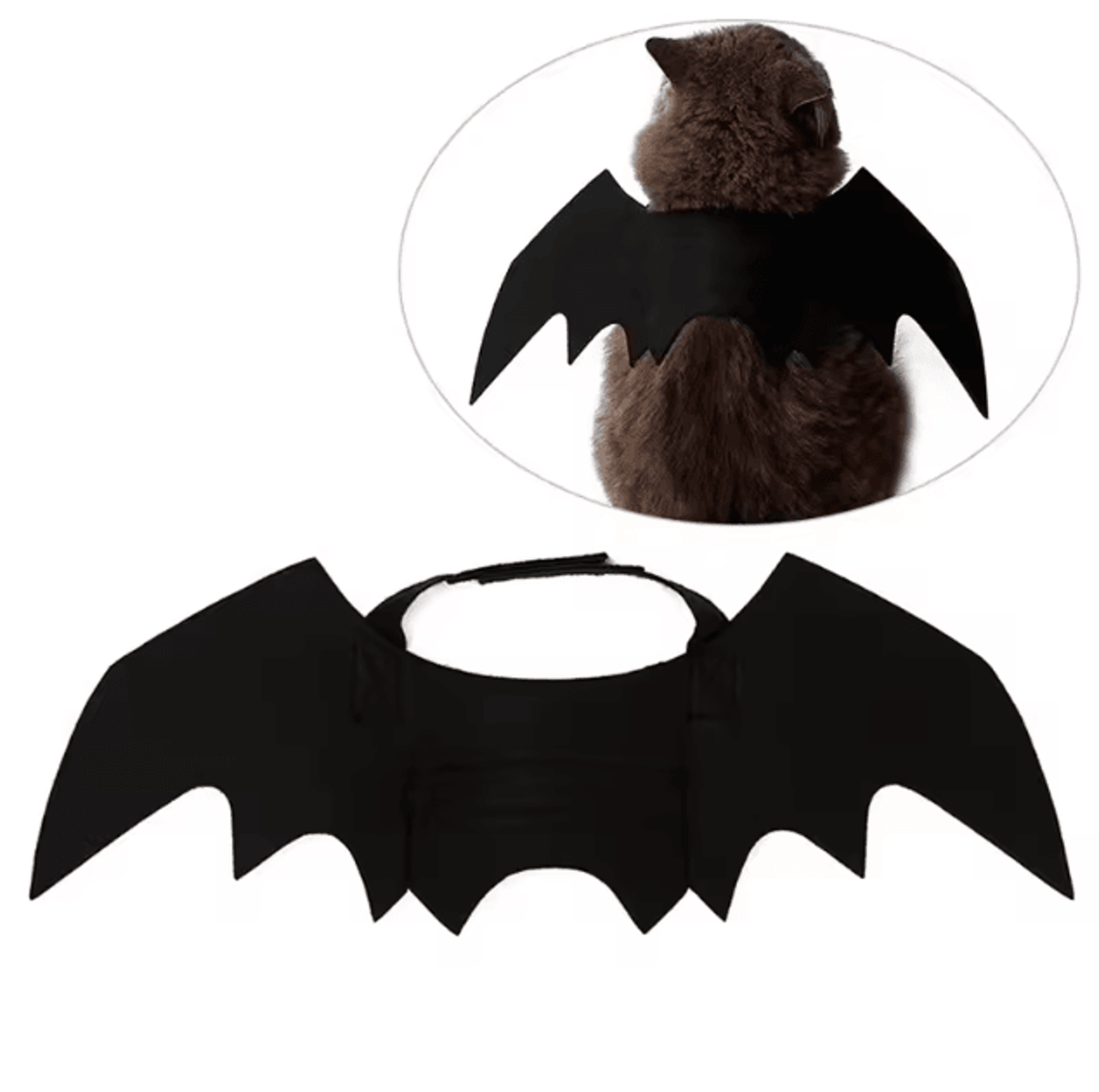 batbuddy pet bat wings costume – cute halloween cosplay harness for cats & dogs