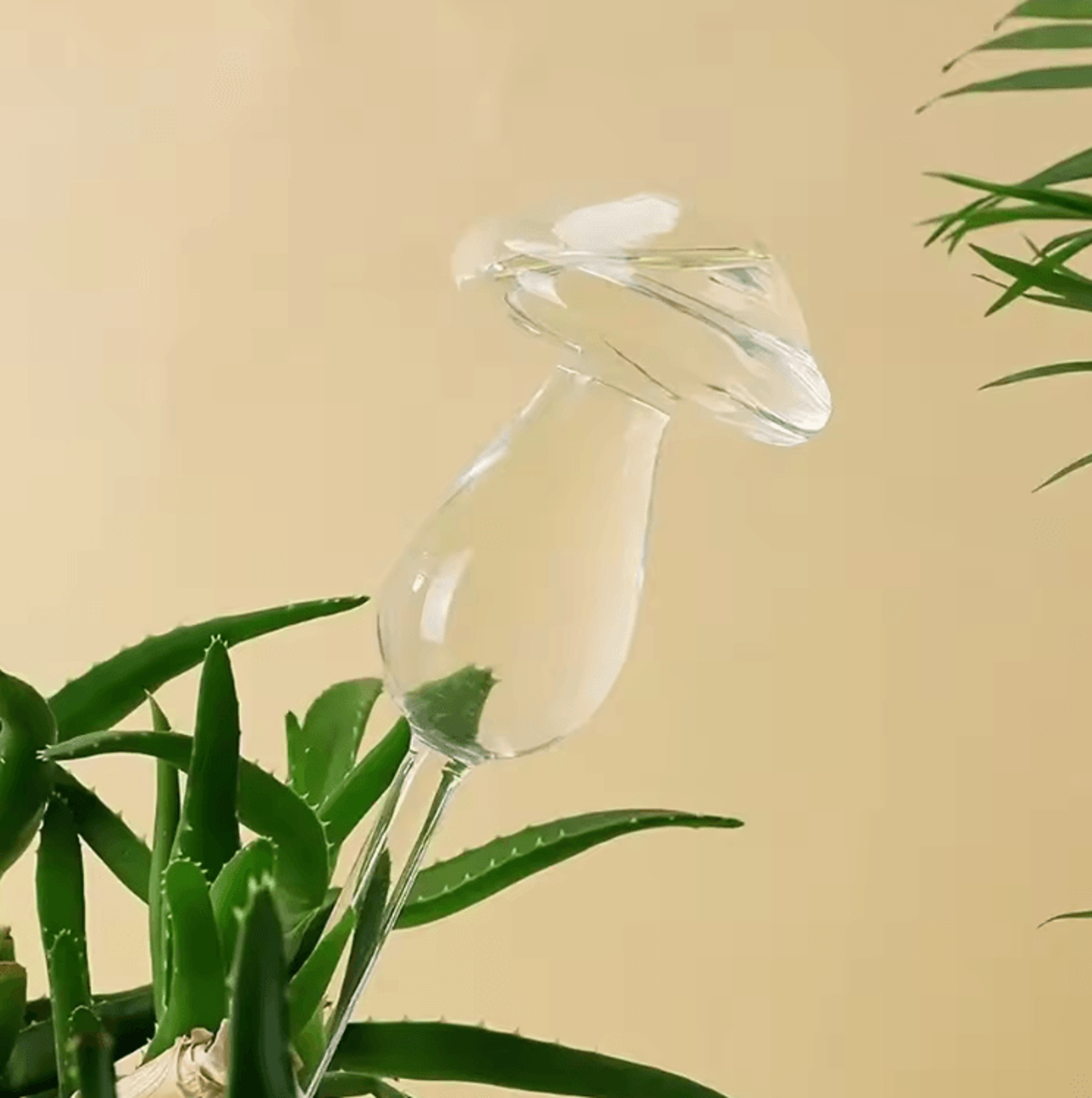 rainbow mushroom glass plant watering globes for effortless plant care
