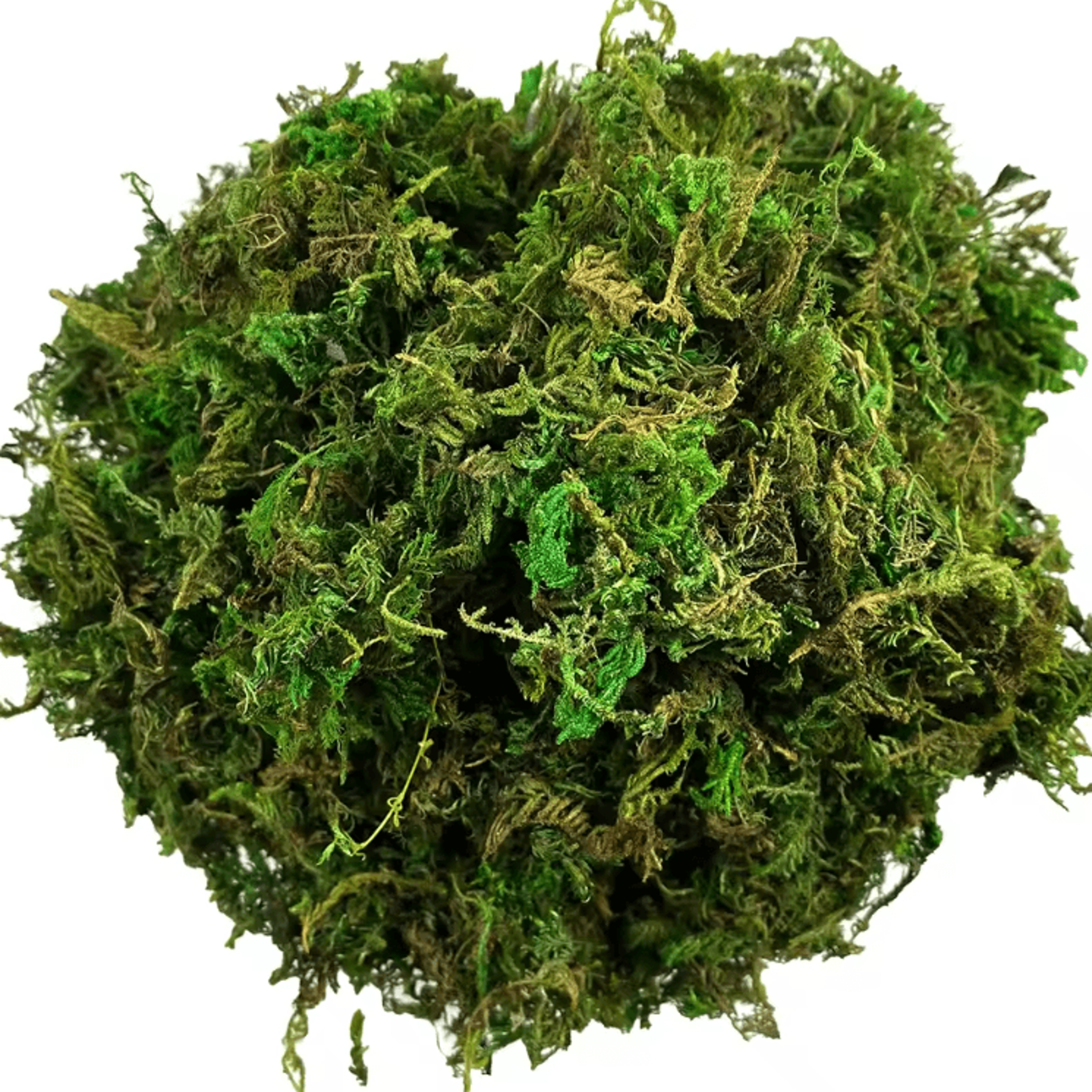 artificial green moss for potted plants – decorative faux moss for orchids & diy plant styling