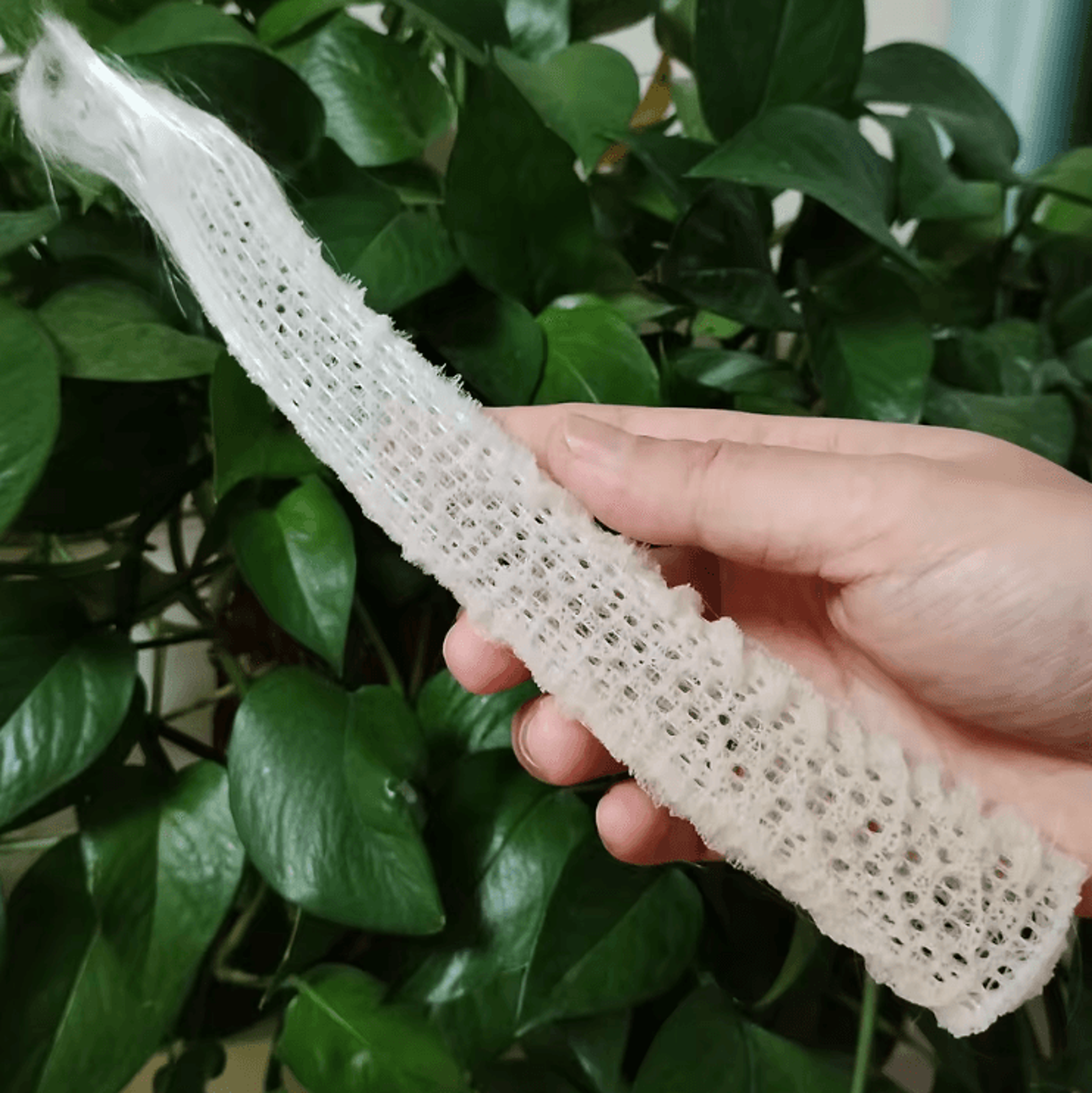mini venus flower basket sponge decor ocean-inspired aquarium ornament euplectella shell