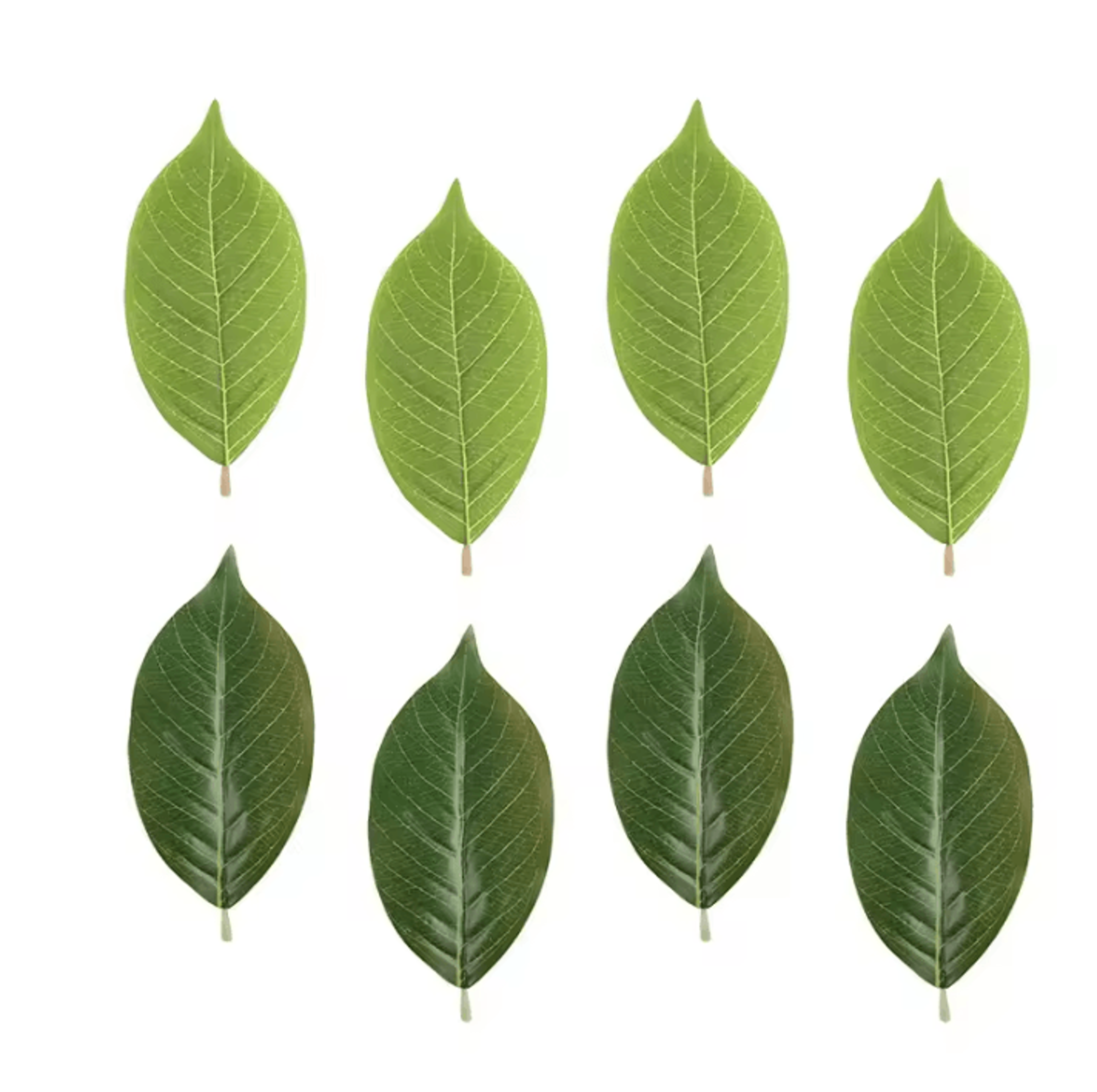pu artificial magnolia leaves set – realistic fake magnolia leaf decor for diy crafts