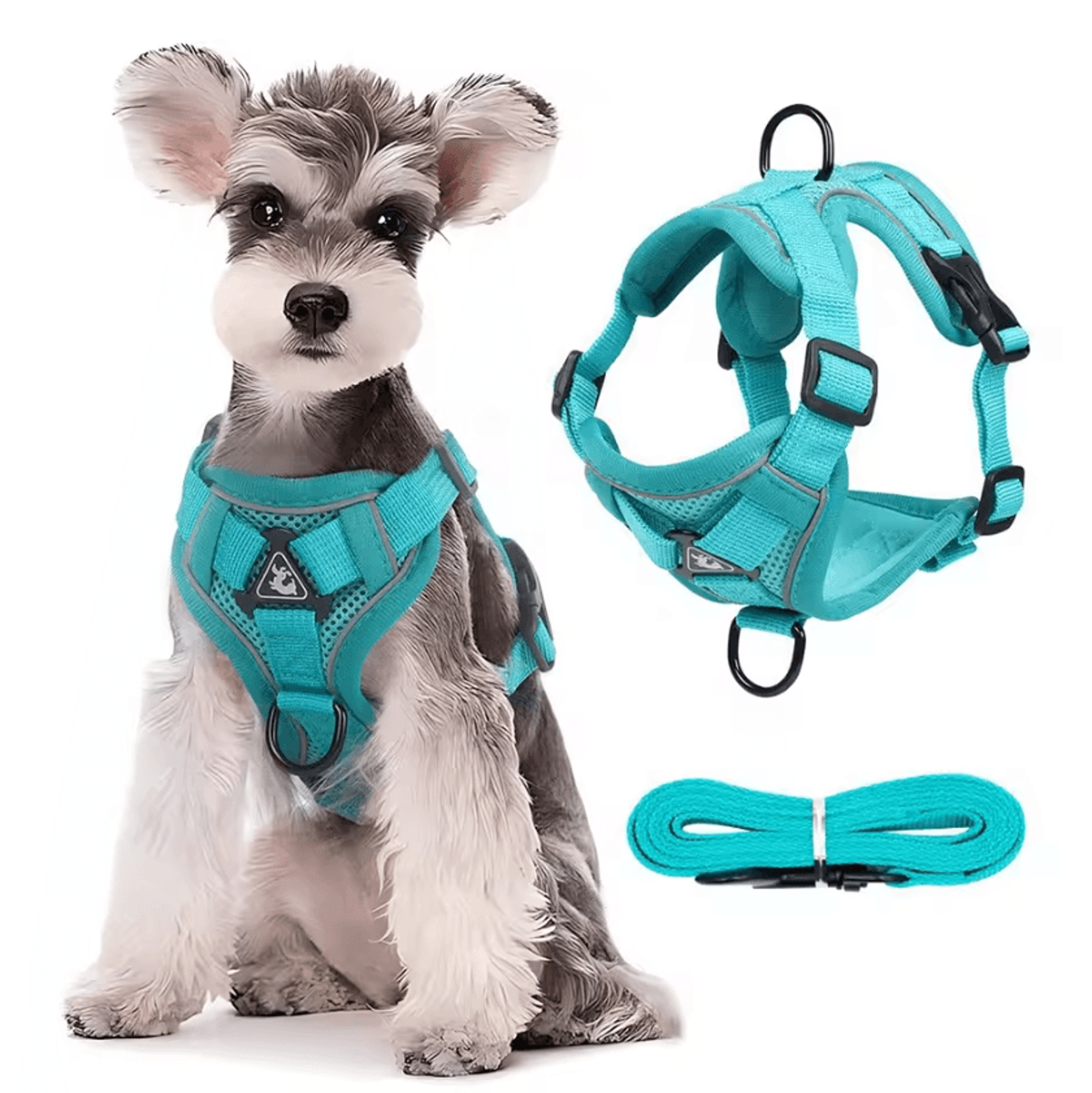 no-pull reflective dog harness & leash set – breathable vest for small & medium dogs