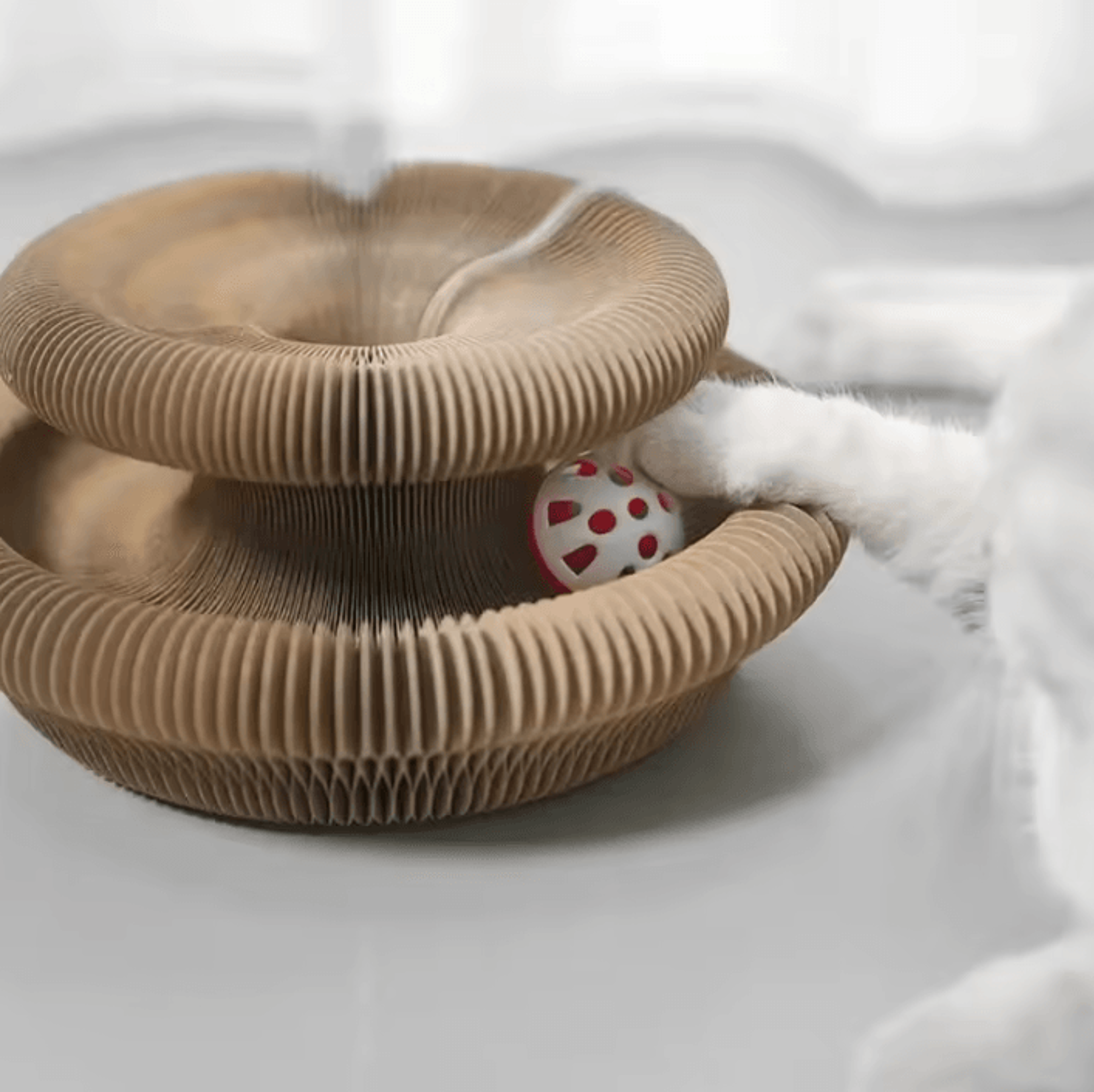 flexipurr accordion cat scratcher toy