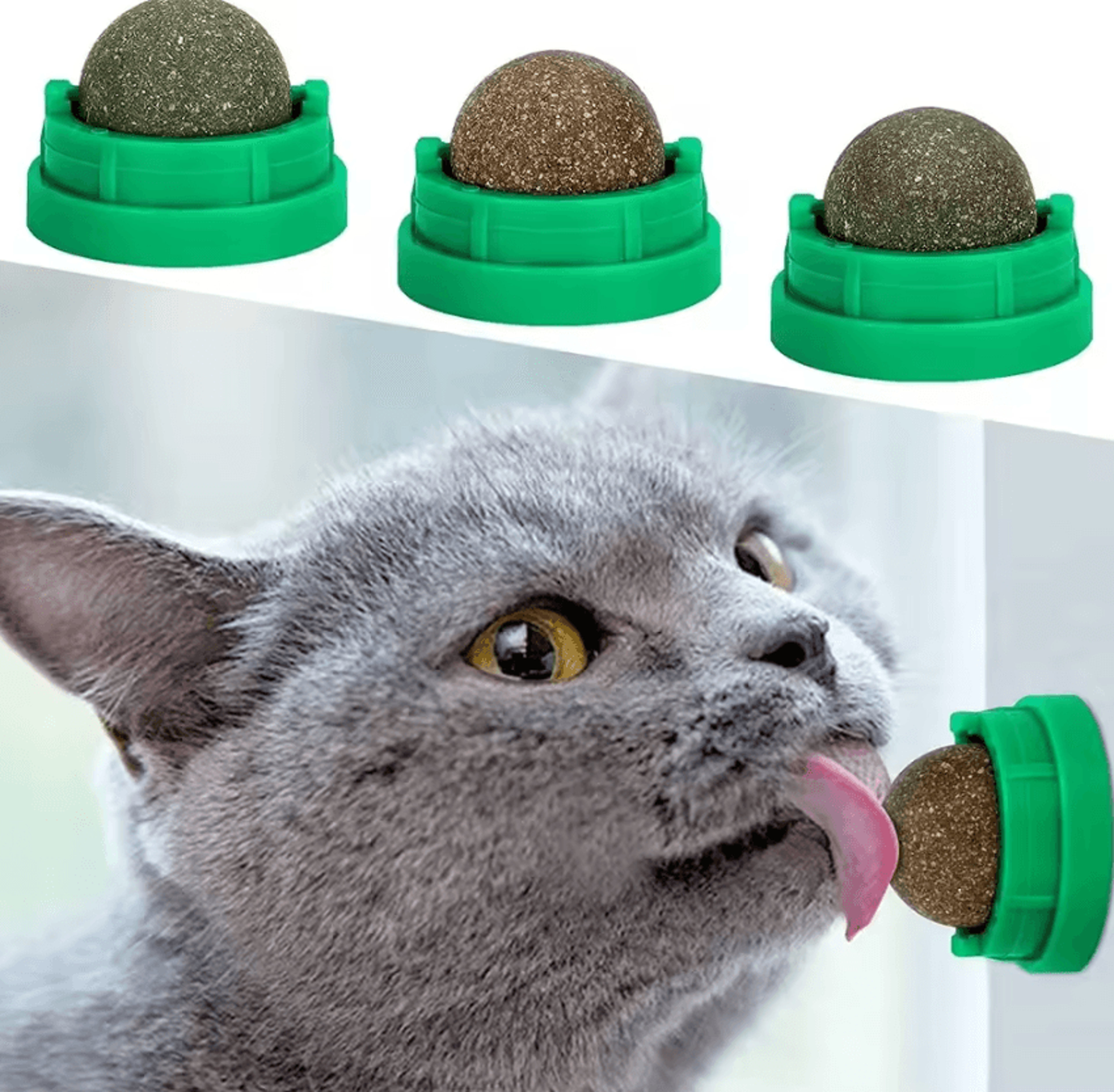 mintmunch catnip dental treat balls
