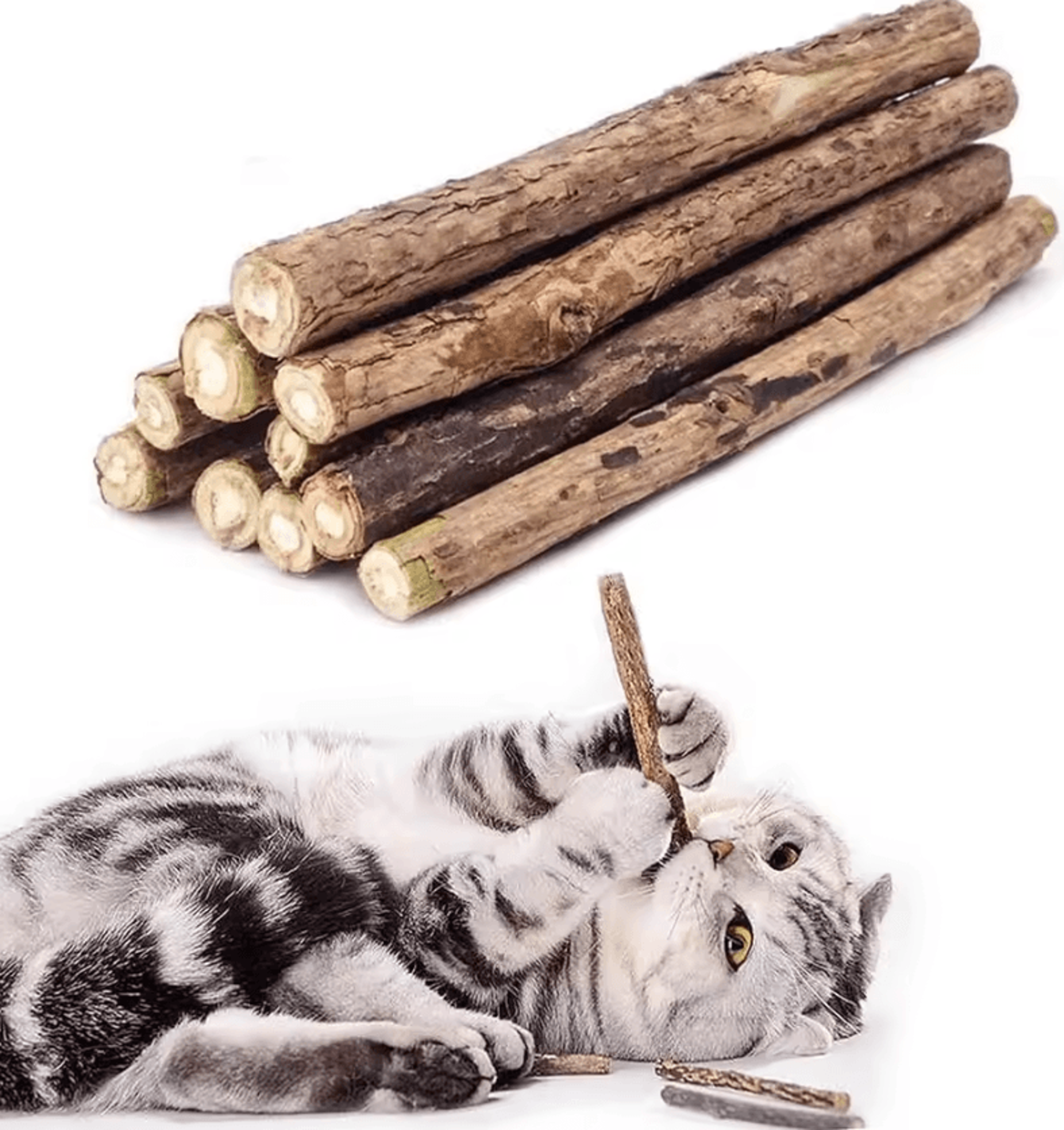 silvermint silvervine cat chew sticks for dental care & stress relief
