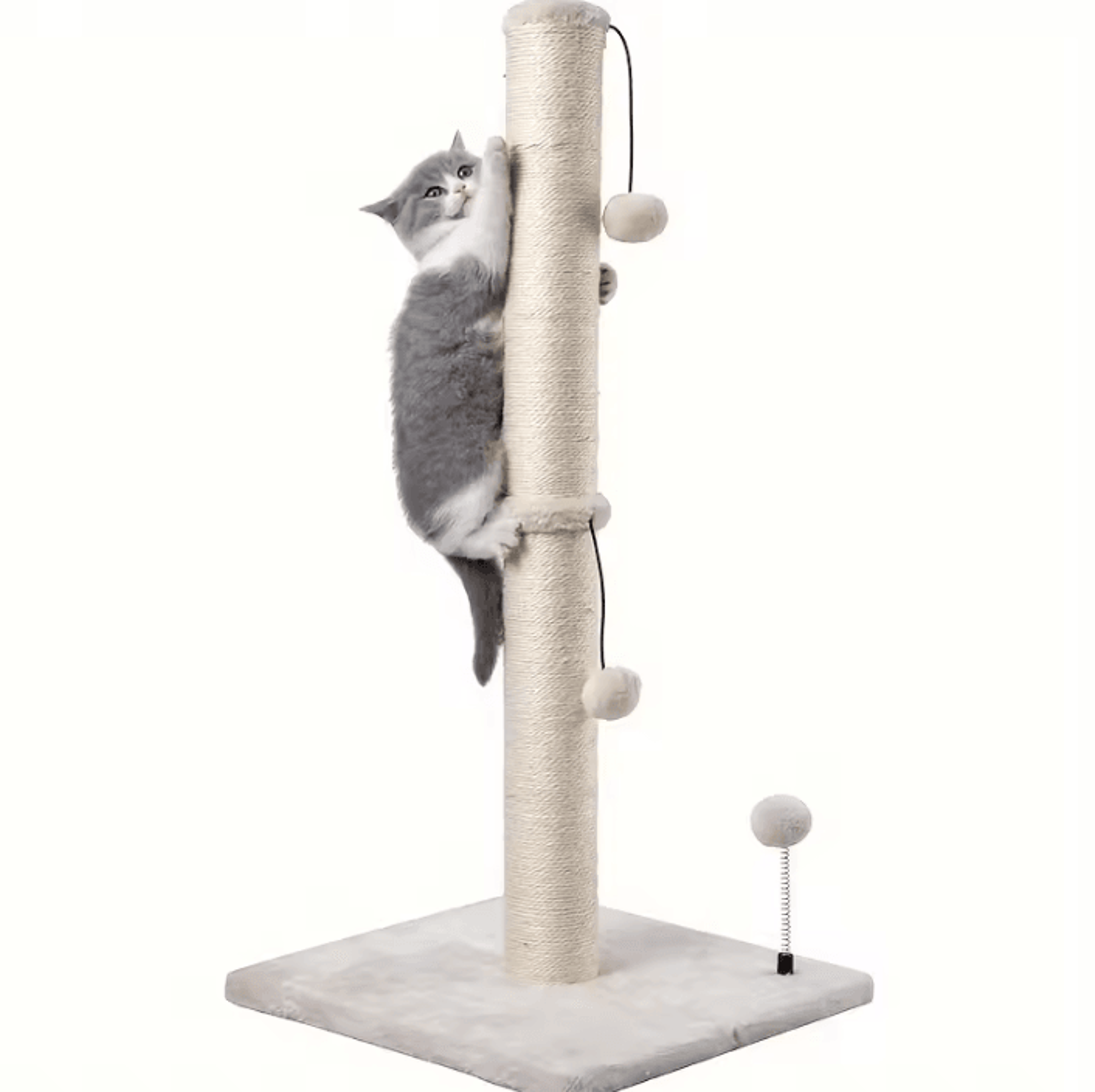 tallguard premium sisal cat scratching post