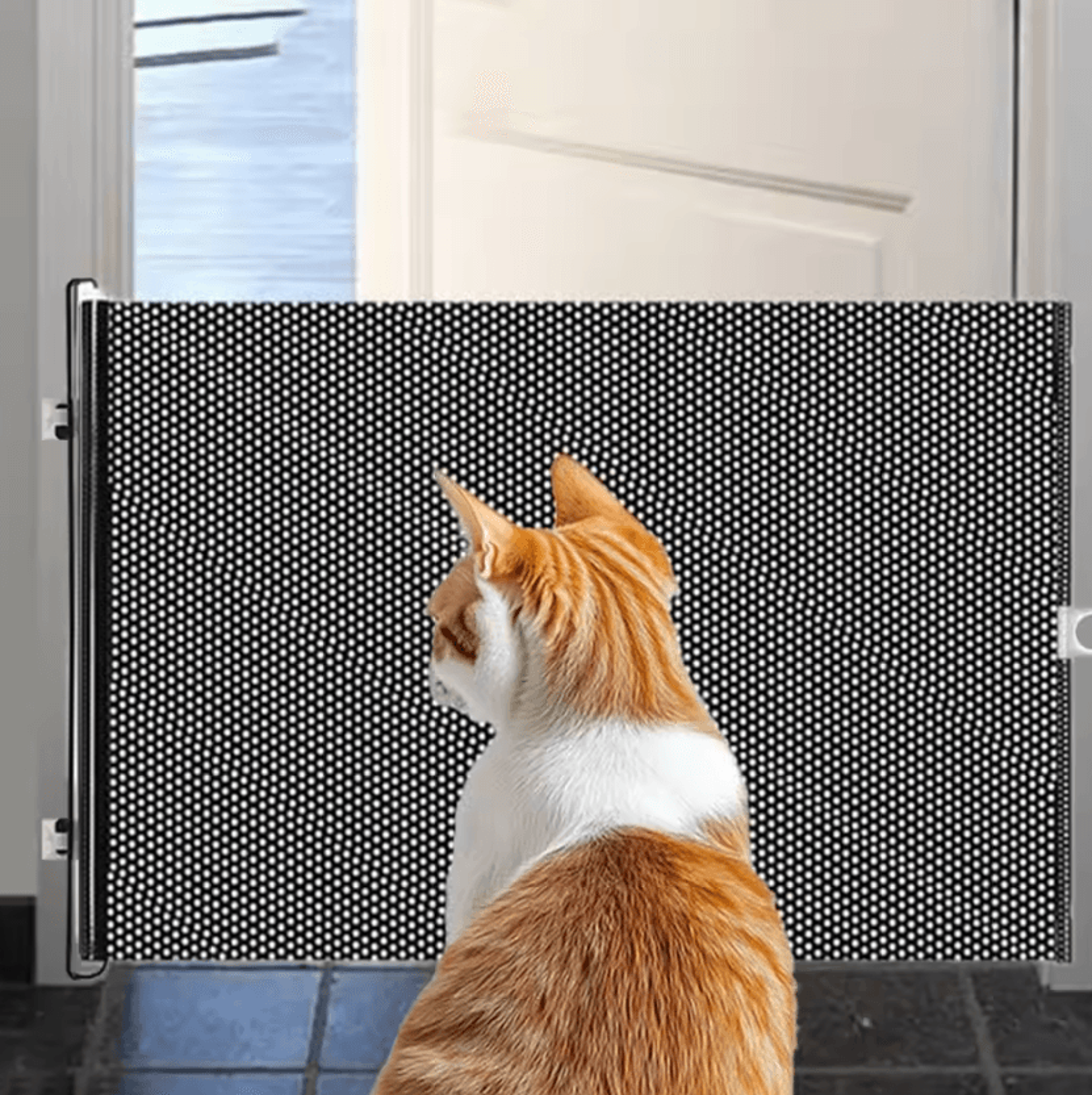 safestep retractable pet safety gate barrier