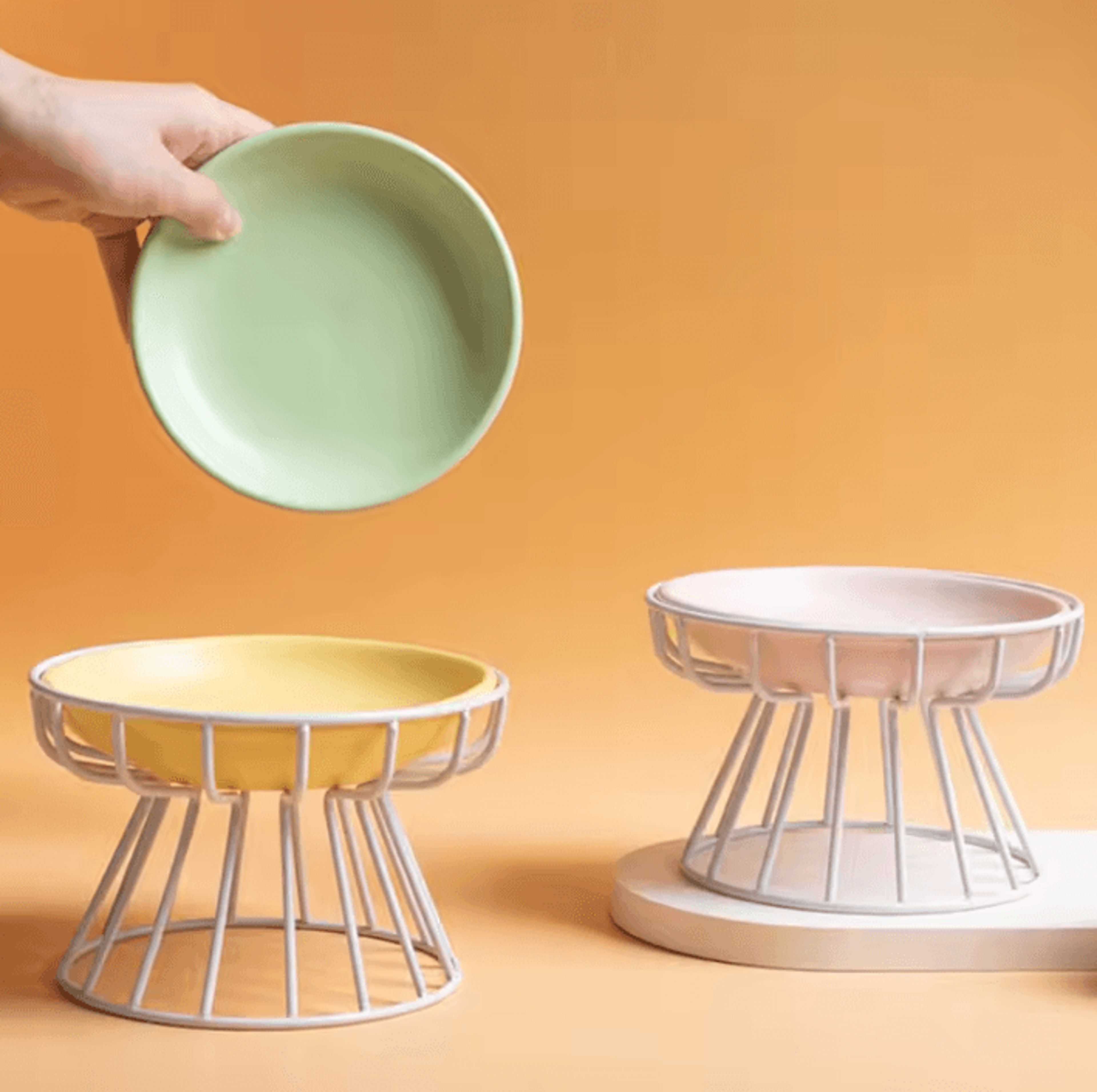 elevadish raised ceramic cat bowl set